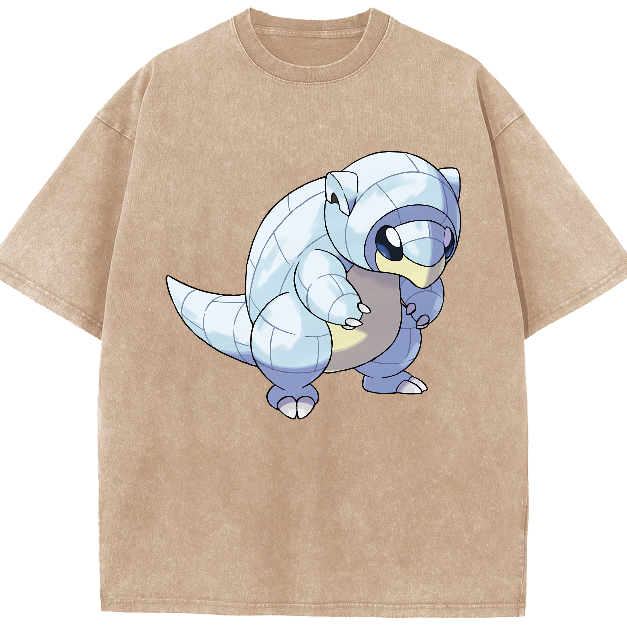 （画像用） ポケットモンスター Pokémon 綿100% ヴィンテージ風 半袖Tシャツ（フロントプリント）