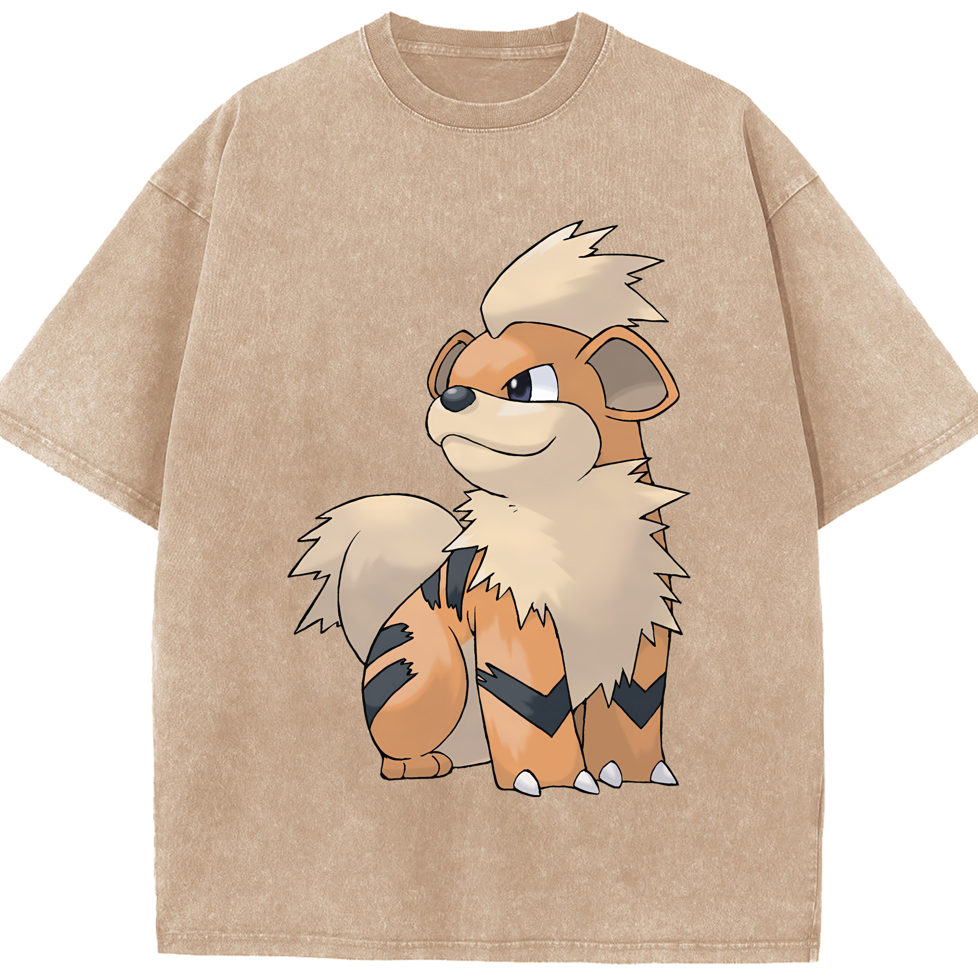 （画像用） ポケットモンスター Pokémon 綿100% ヴィンテージ風 半袖Tシャツ（フロントプリント）