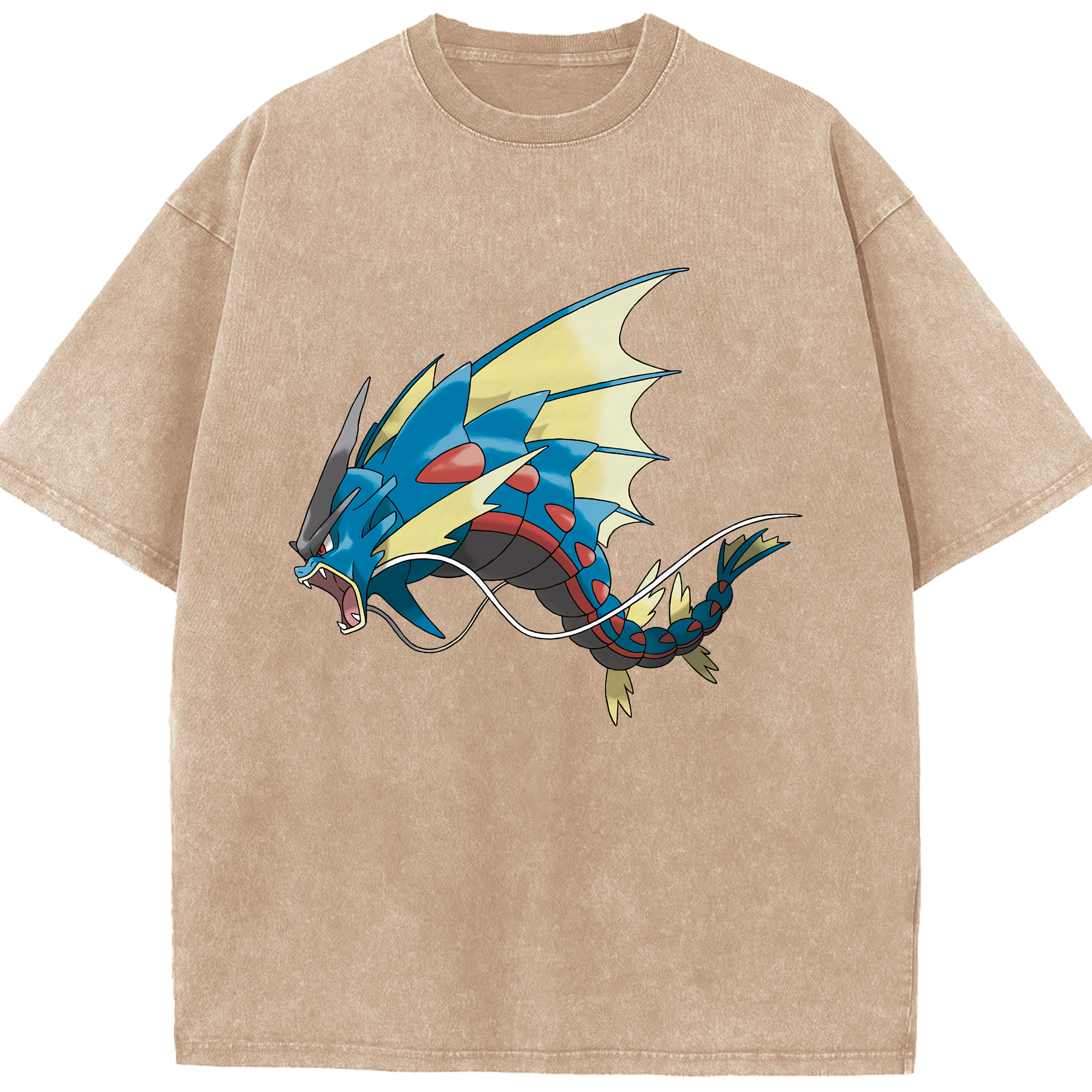 （画像用） ポケットモンスター Pokémon 綿100% ヴィンテージ風 半袖Tシャツ（フロントプリント）