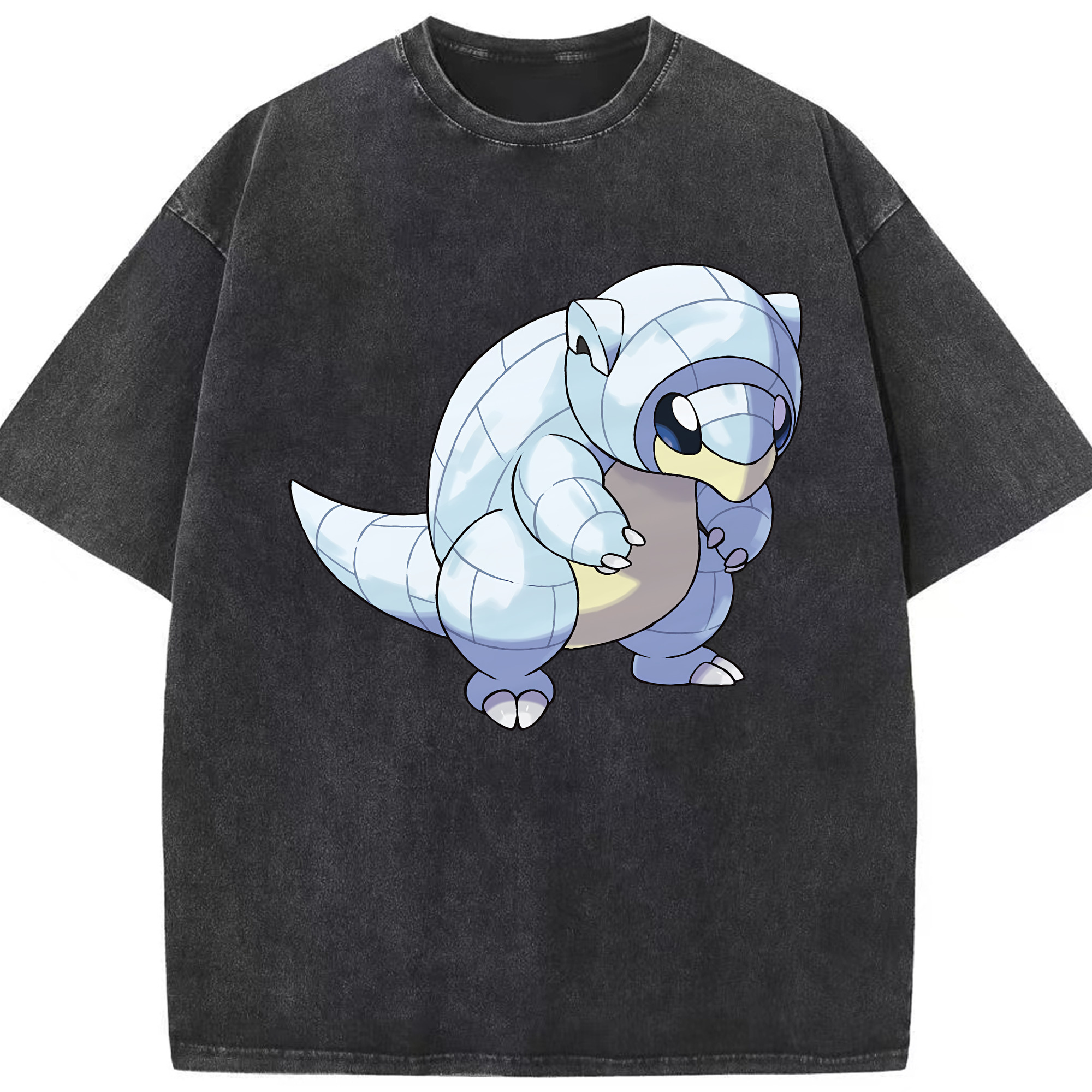 （画像用） ポケットモンスター Pokémon 綿100% ヴィンテージ風 半袖Tシャツ（フロントプリント）