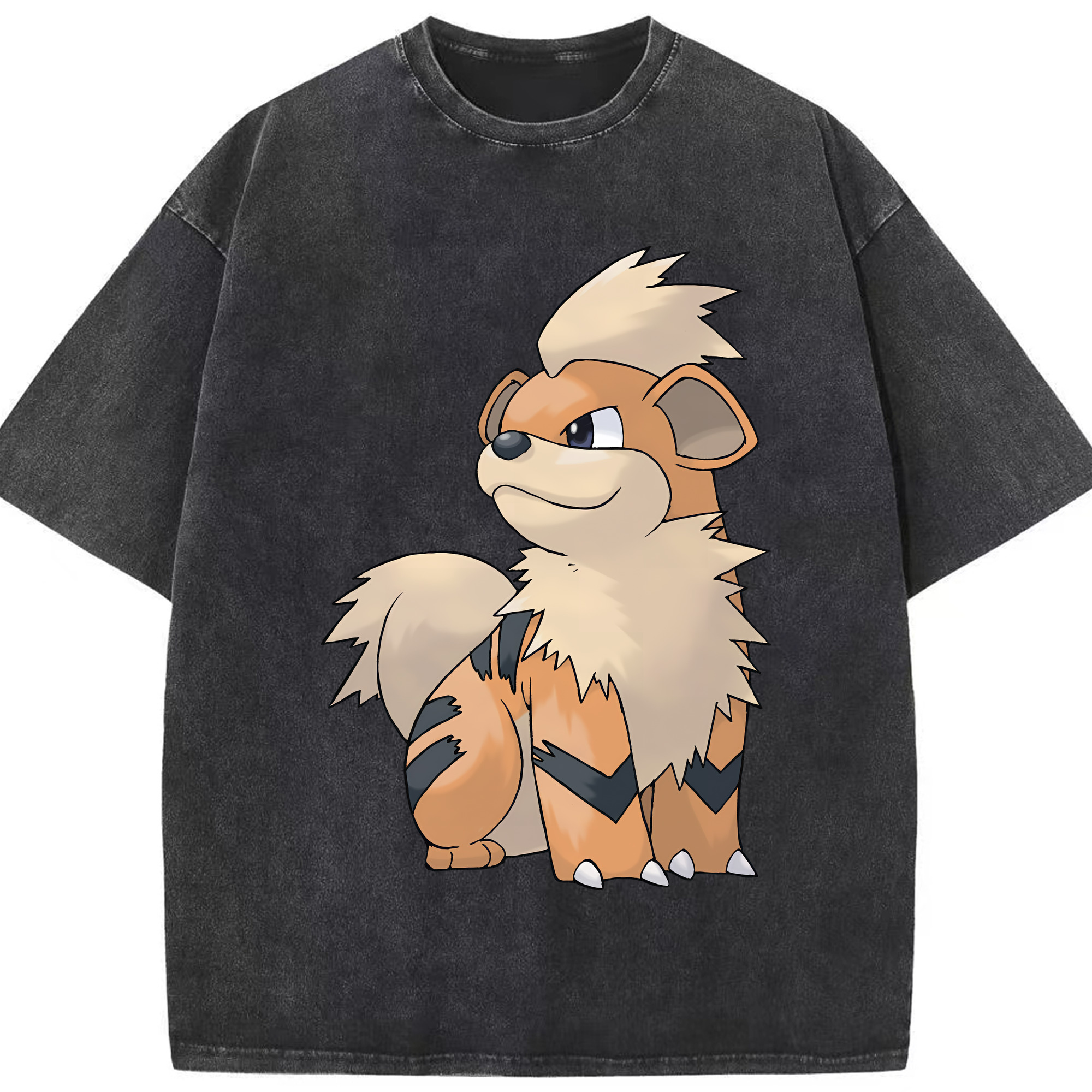 （画像用） ポケットモンスター Pokémon 綿100% ヴィンテージ風 半袖Tシャツ（フロントプリント）
