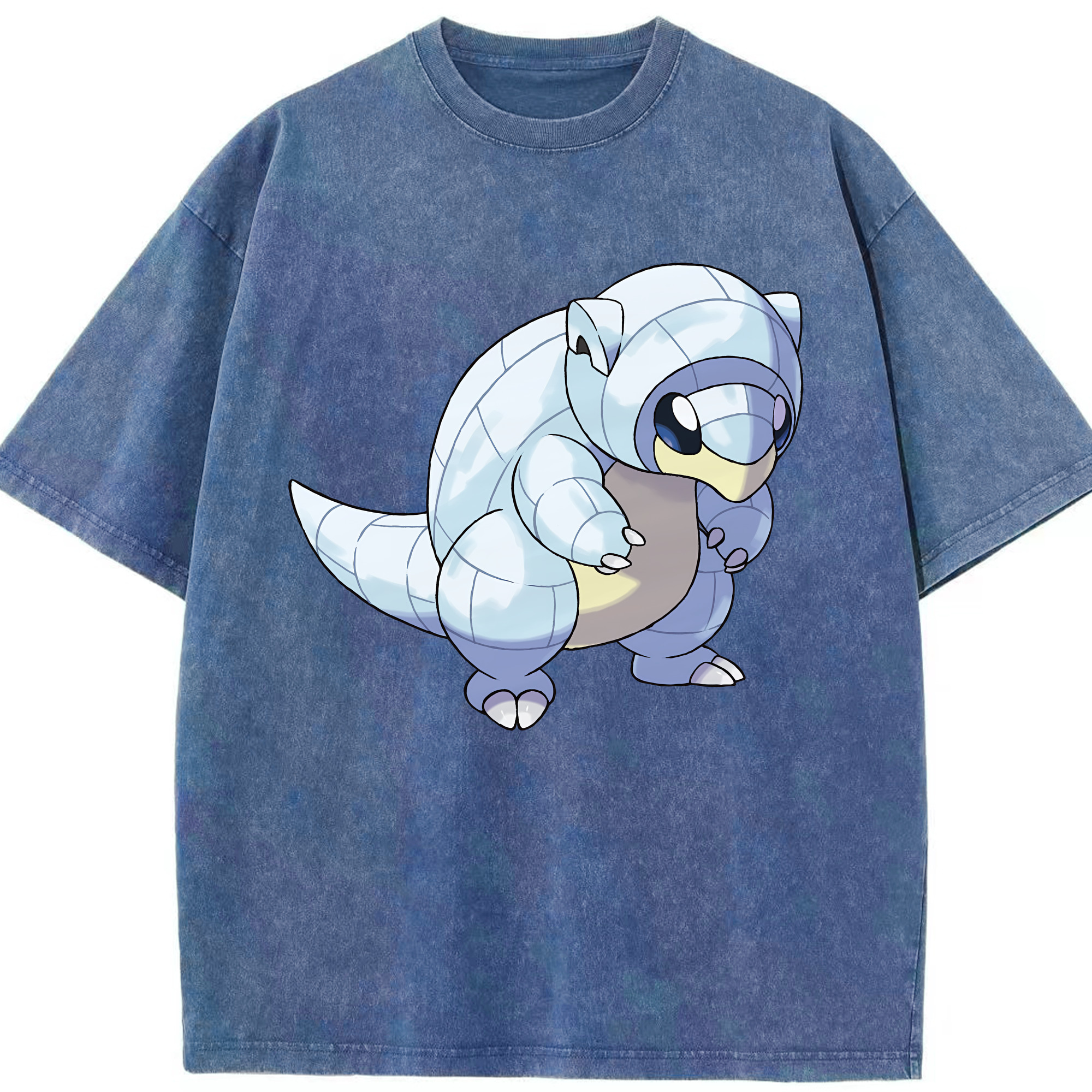 （画像用） ポケットモンスター Pokémon 綿100% ヴィンテージ風 半袖Tシャツ（フロントプリント）