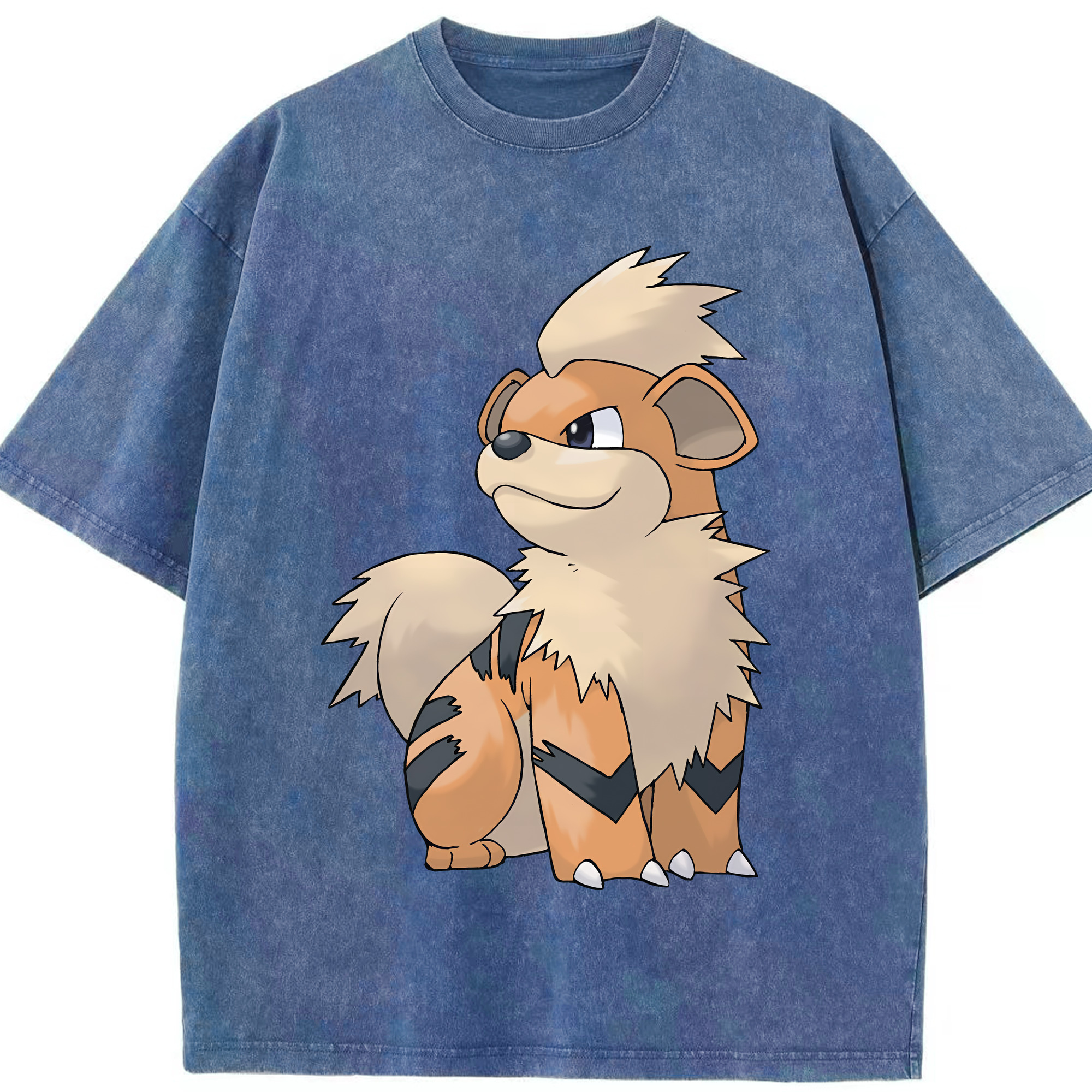 （画像用） ポケットモンスター Pokémon 綿100% ヴィンテージ風 半袖Tシャツ（フロントプリント）