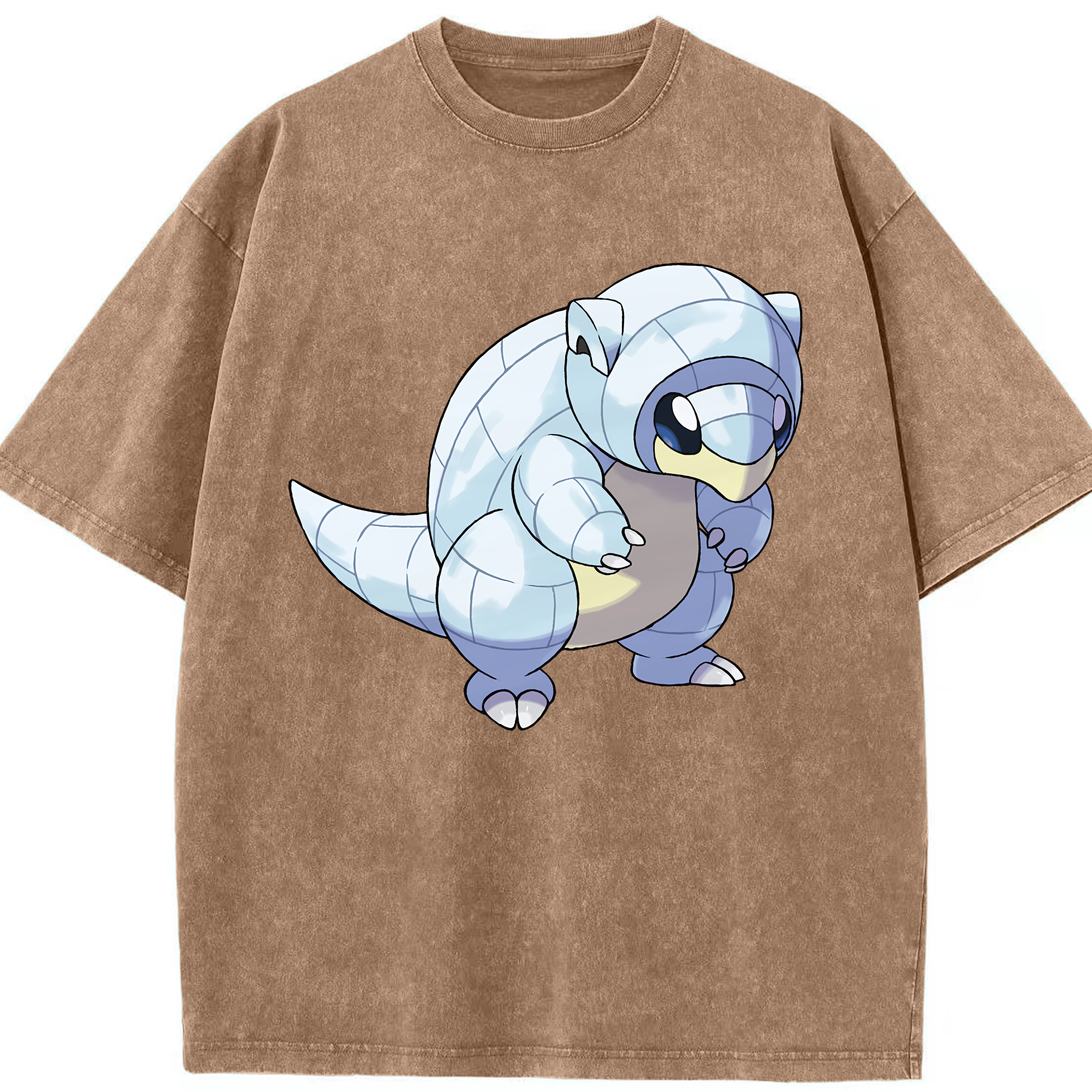 （画像用） ポケットモンスター Pokémon 綿100% ヴィンテージ風 半袖Tシャツ（フロントプリント）