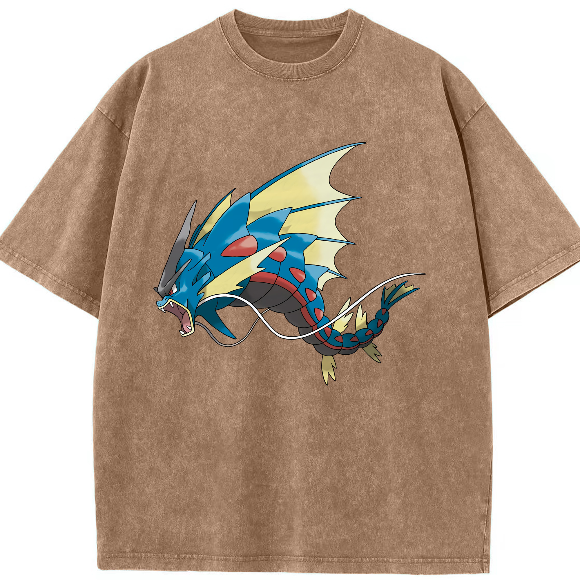 （画像用） ポケットモンスター Pokémon 綿100% ヴィンテージ風 半袖Tシャツ（フロントプリント）