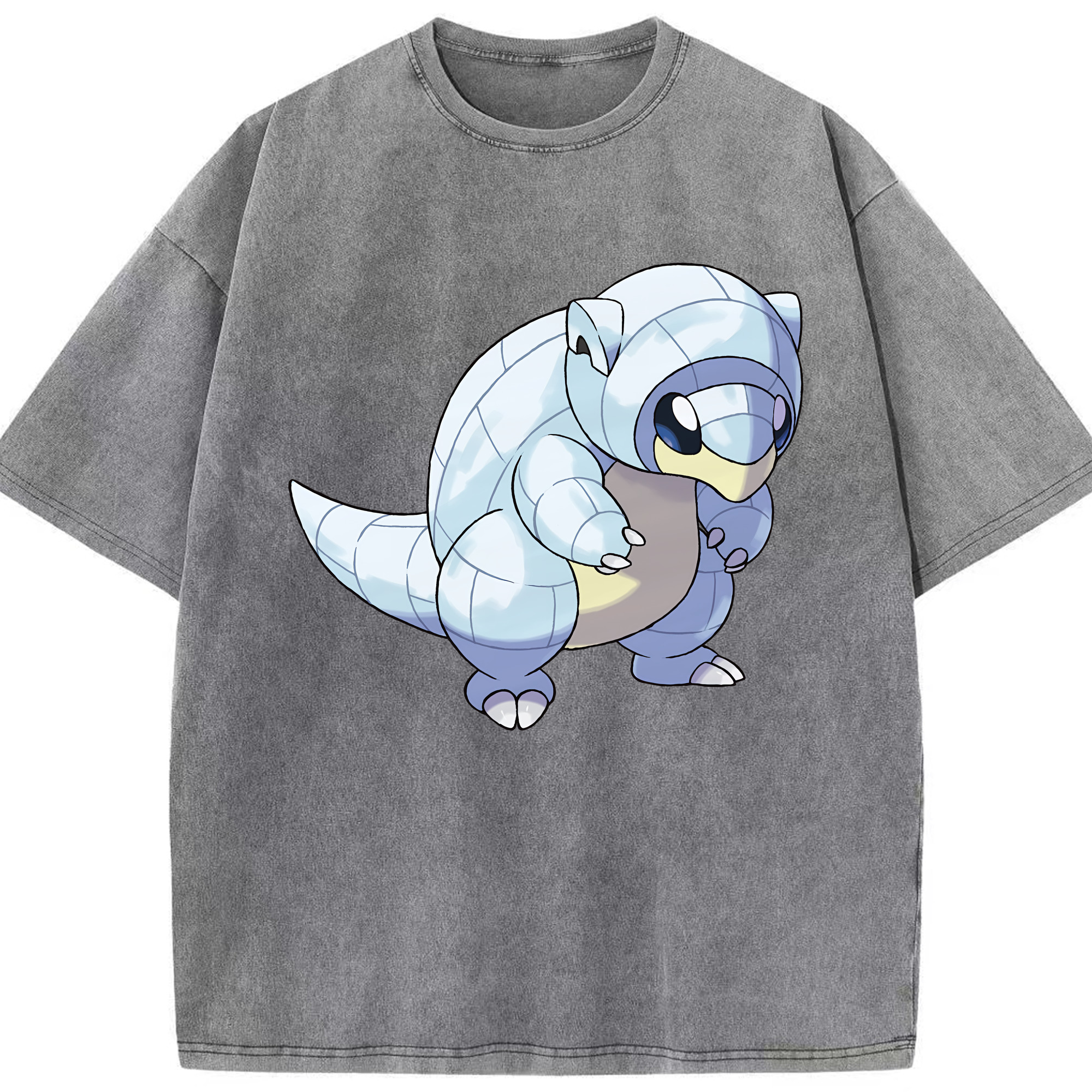 （画像用） ポケットモンスター Pokémon 綿100% ヴィンテージ風 半袖Tシャツ（フロントプリント）