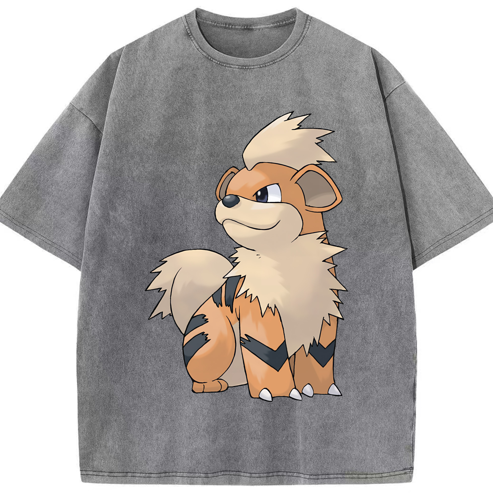 （画像用） ポケットモンスター Pokémon 綿100% ヴィンテージ風 半袖Tシャツ（フロントプリント）