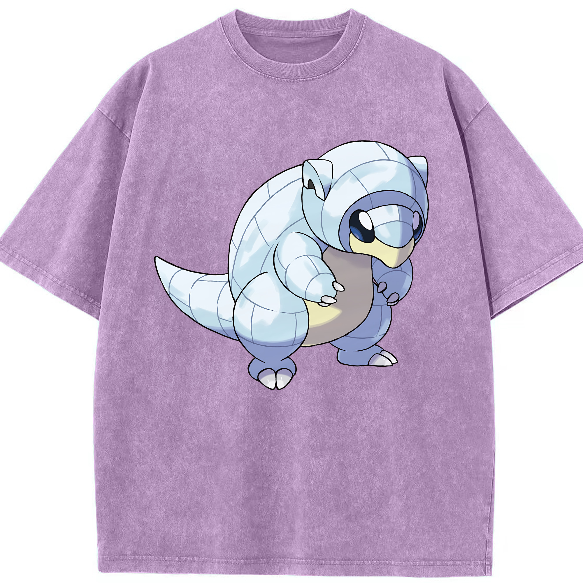 （画像用） ポケットモンスター Pokémon 綿100% ヴィンテージ風 半袖Tシャツ（フロントプリント）