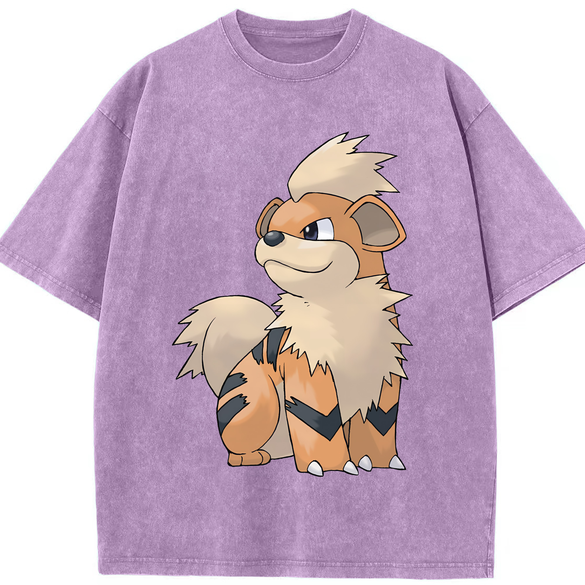 （画像用） ポケットモンスター Pokémon 綿100% ヴィンテージ風 半袖Tシャツ（フロントプリント）