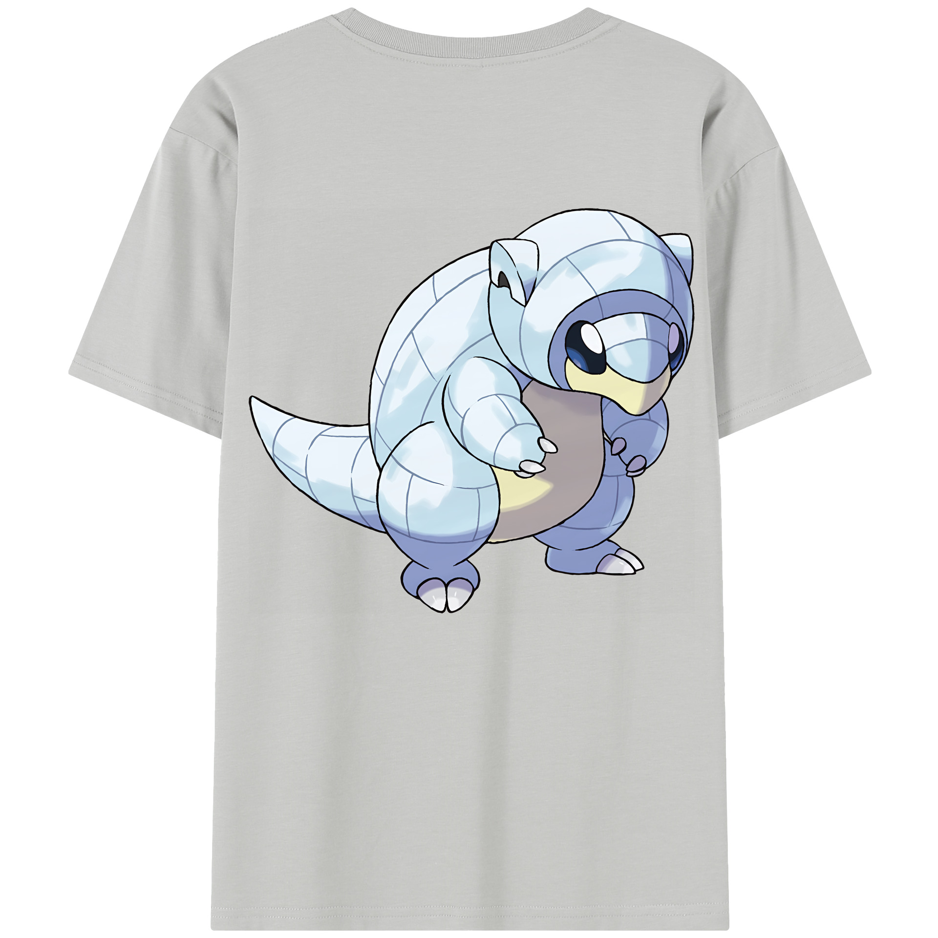 （画像用） ポケットモンスター Pokémon レディース半袖Tシャツ(バックプリント)