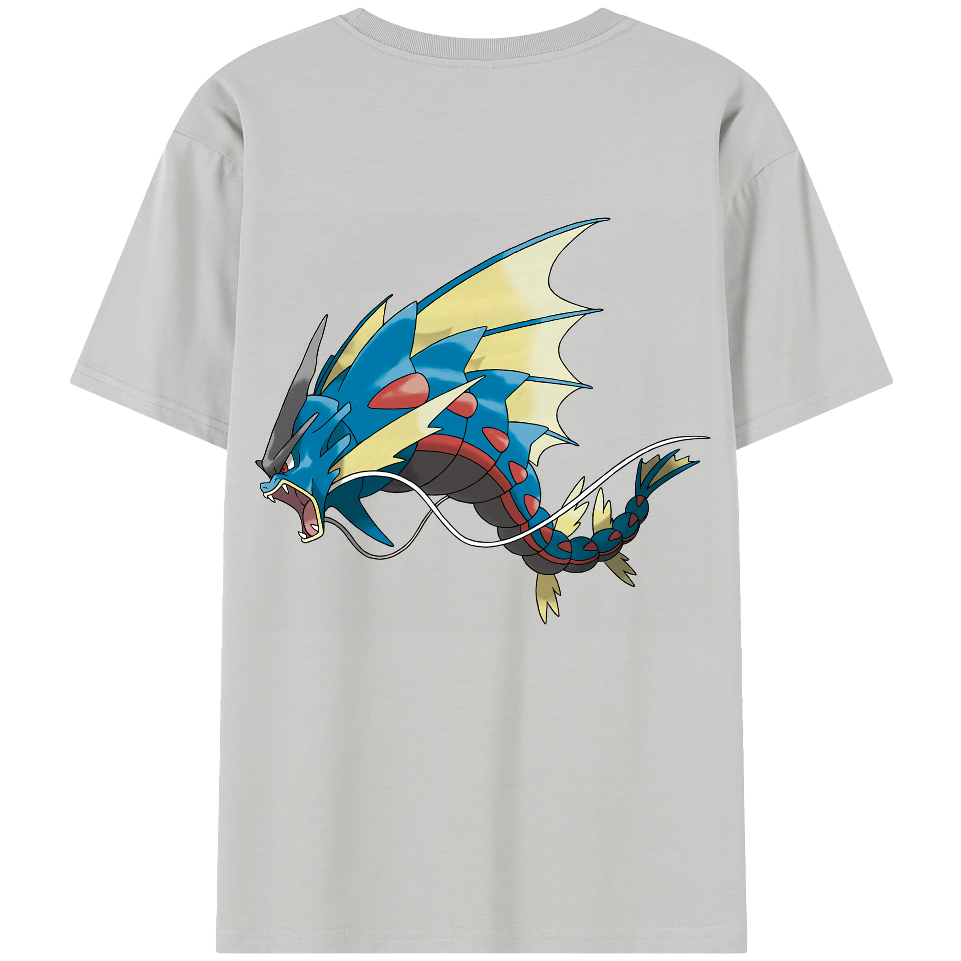 （画像用） ポケットモンスター Pokémon レディース半袖Tシャツ(バックプリント)