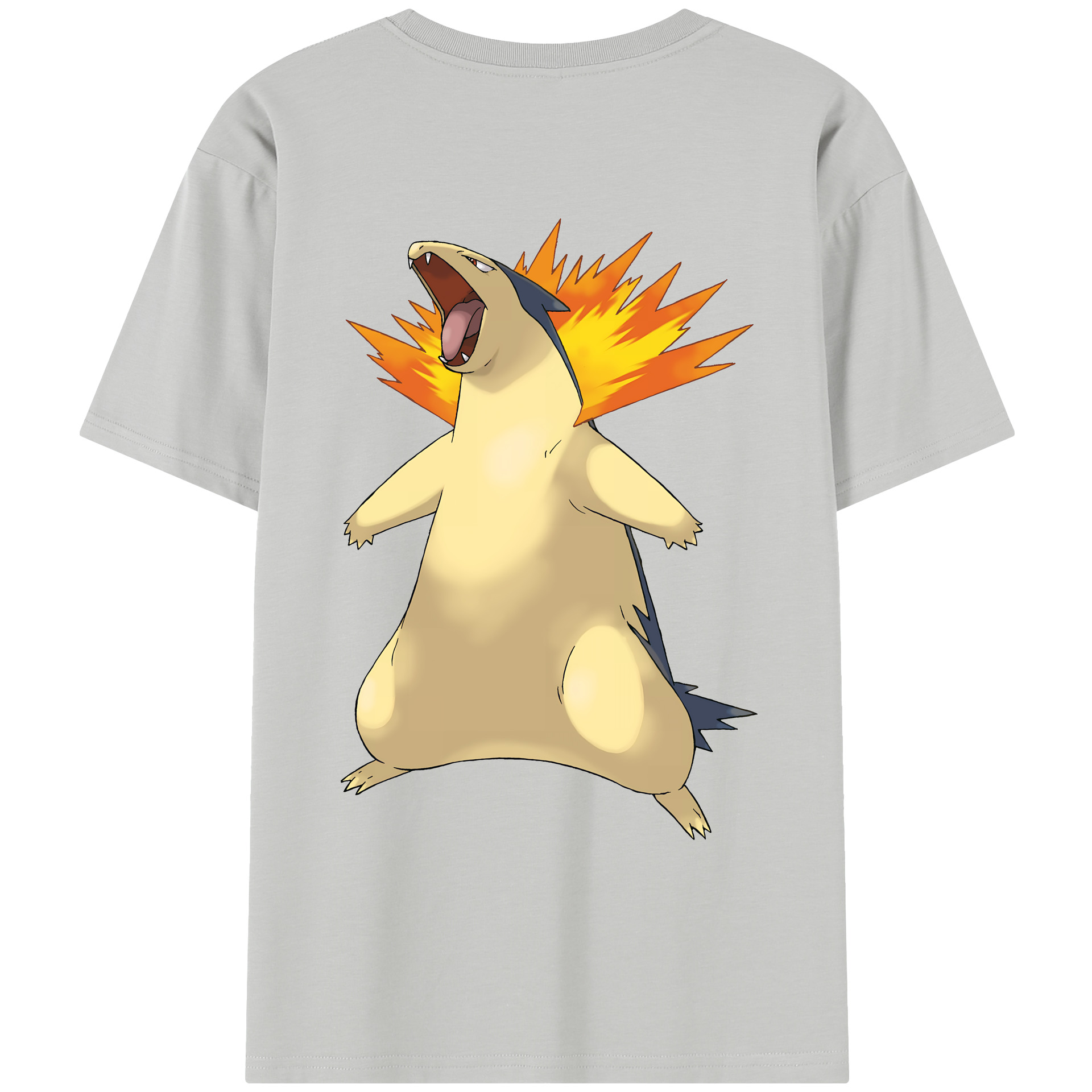 （画像用） ポケットモンスター Pokémon レディース半袖Tシャツ(バックプリント)