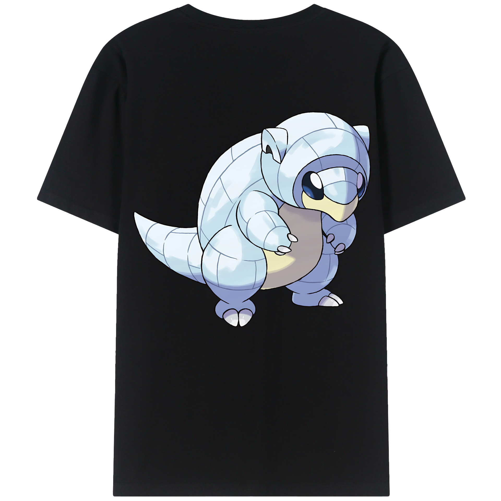 （画像用） ポケットモンスター Pokémon レディース半袖Tシャツ(バックプリント)