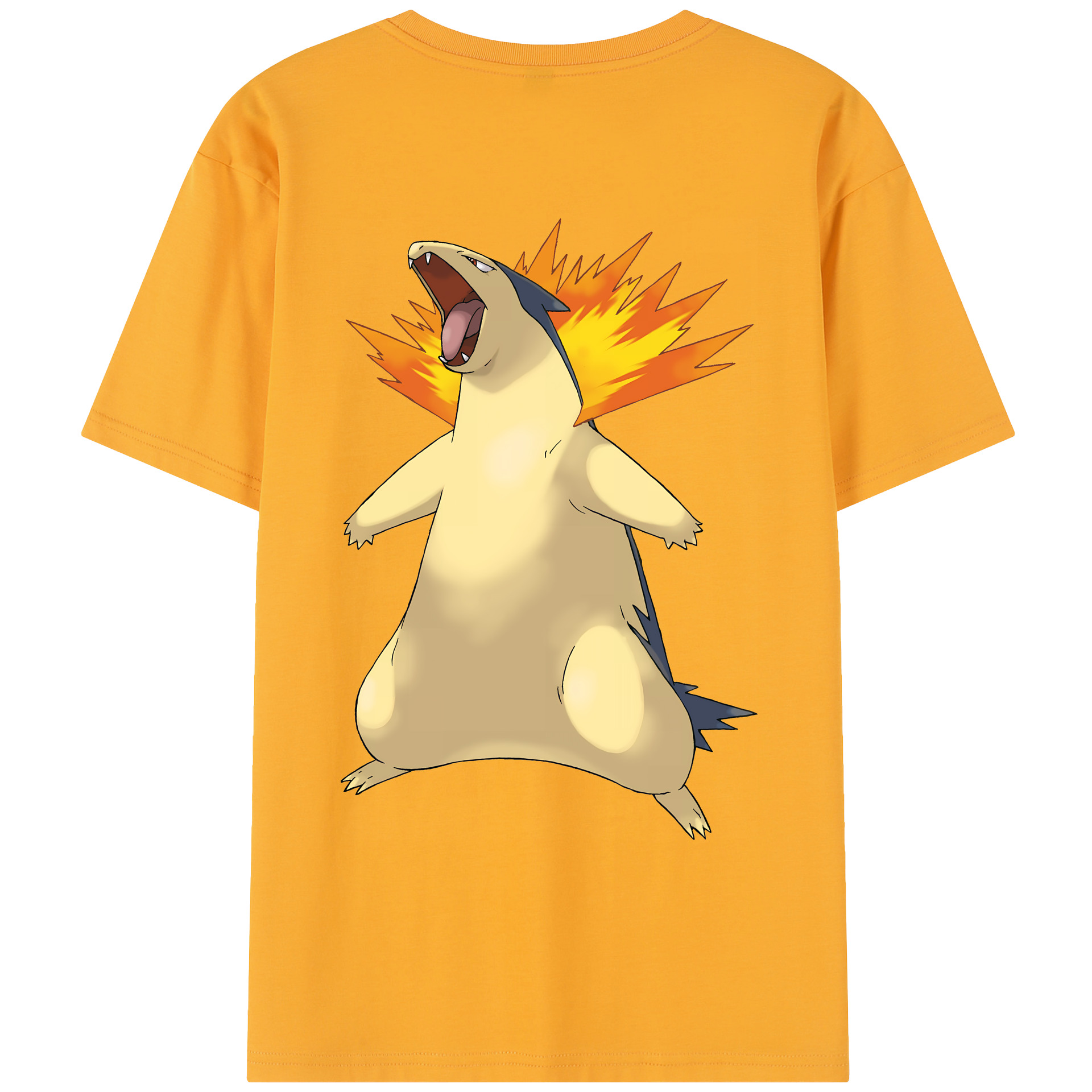 （画像用） ポケットモンスター Pokémon レディース半袖Tシャツ(バックプリント)