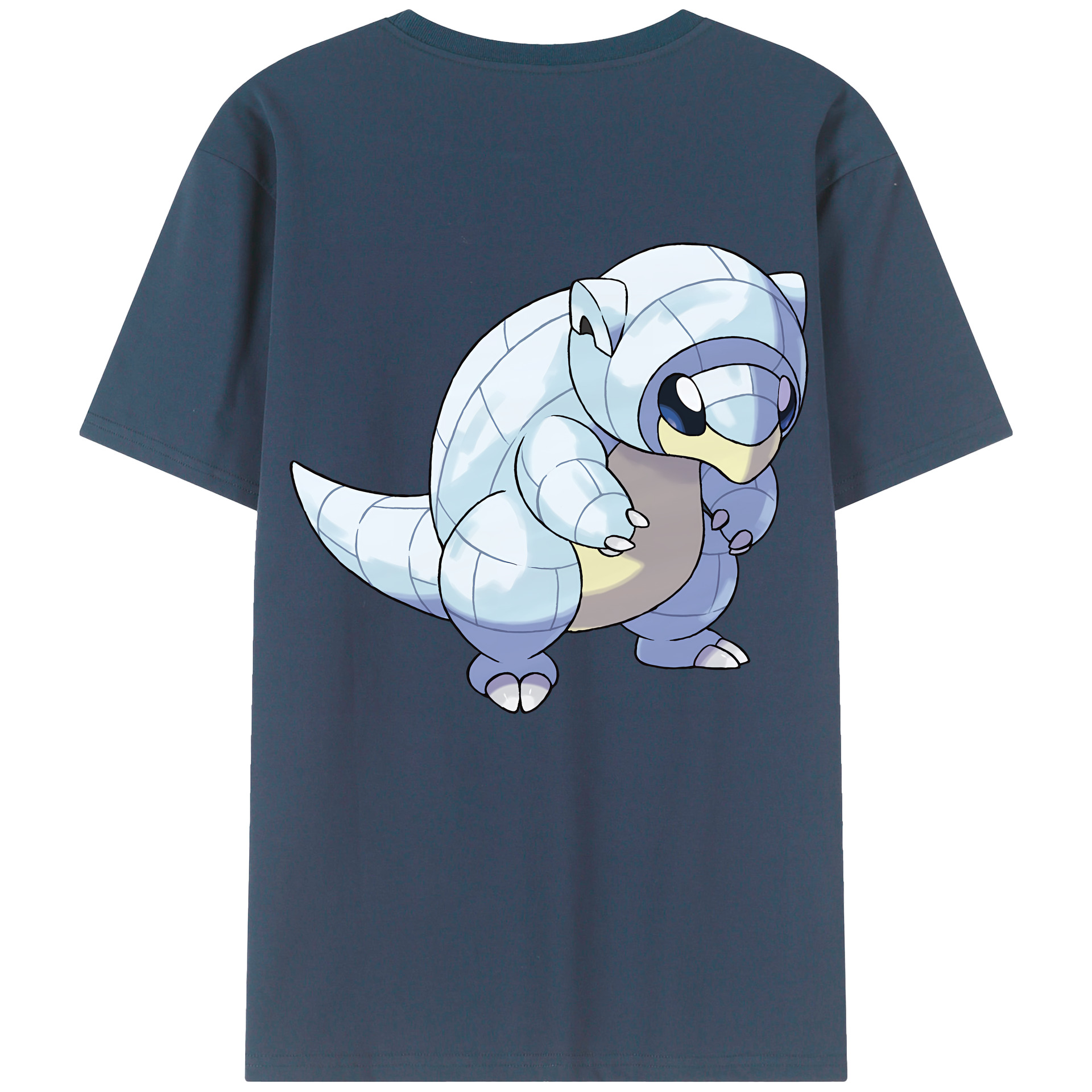 （画像用） ポケットモンスター Pokémon レディース半袖Tシャツ(バックプリント)