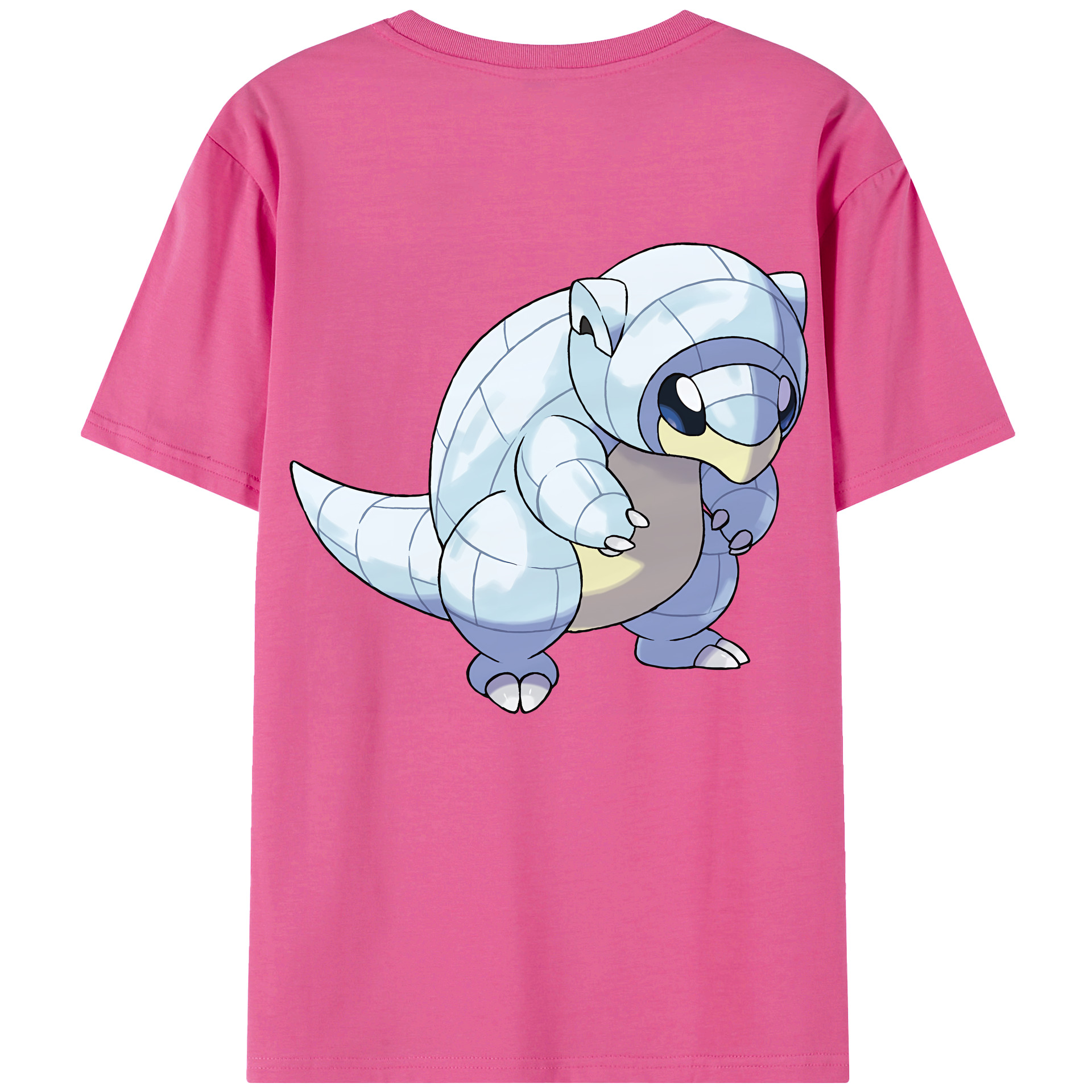 （画像用） ポケットモンスター Pokémon レディース半袖Tシャツ(バックプリント)