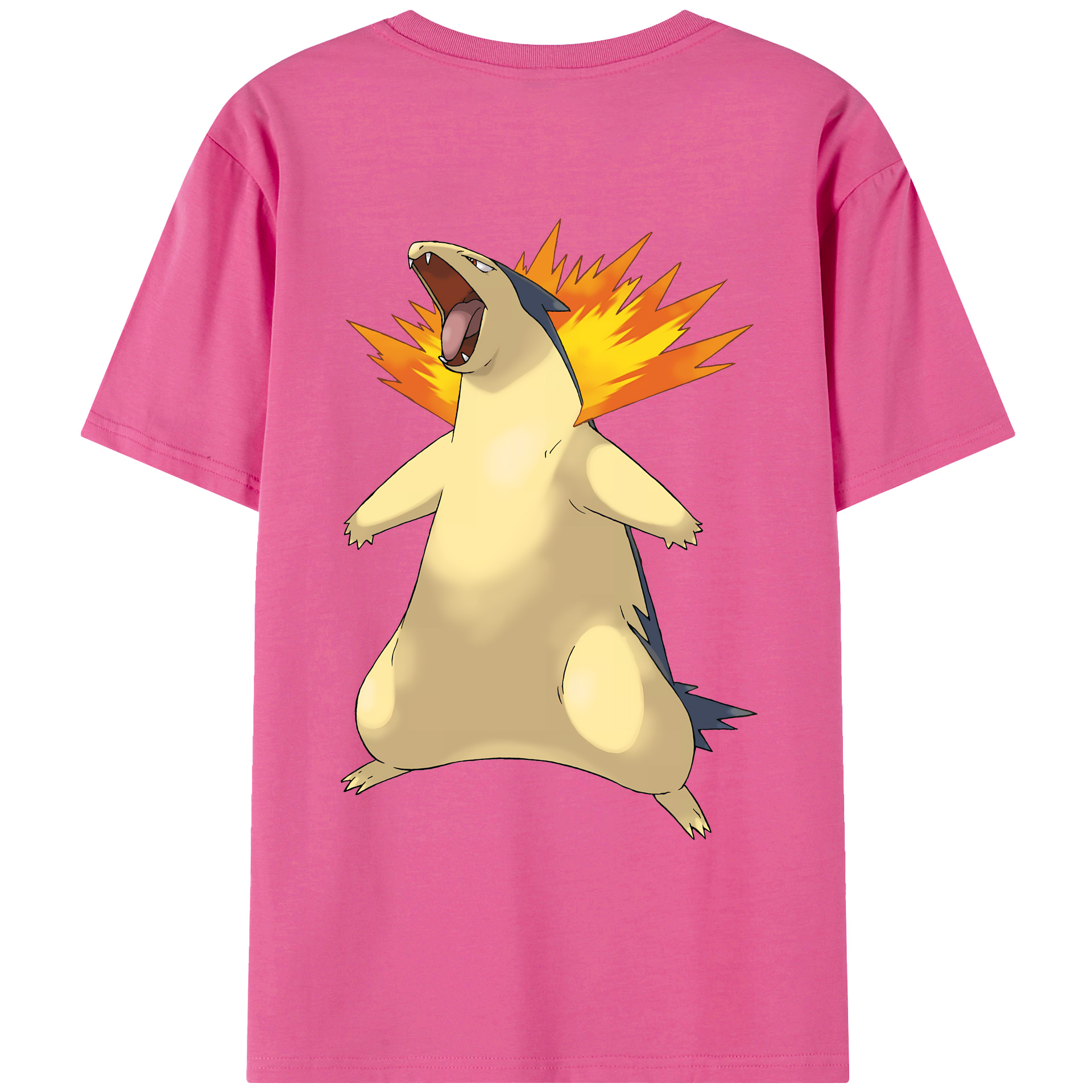 （画像用） ポケットモンスター Pokémon レディース半袖Tシャツ(バックプリント)