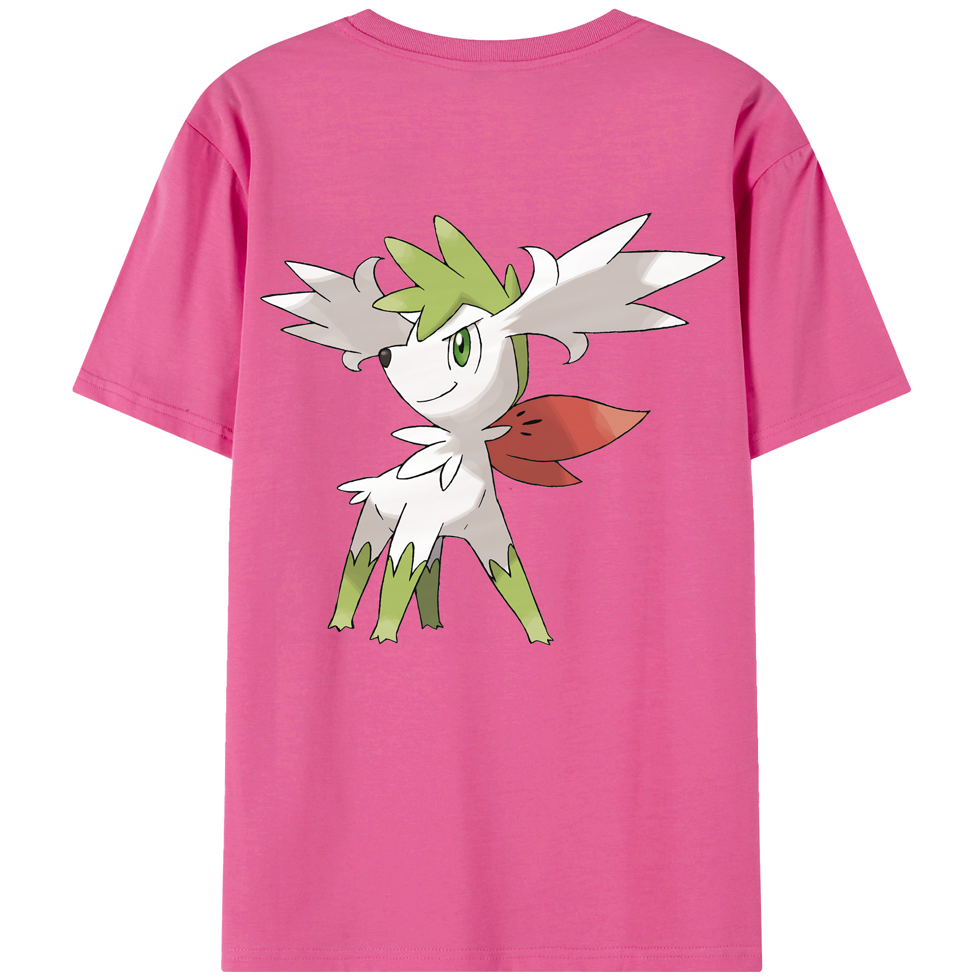 （画像用） ポケットモンスター Pokémon レディース半袖Tシャツ(バックプリント)