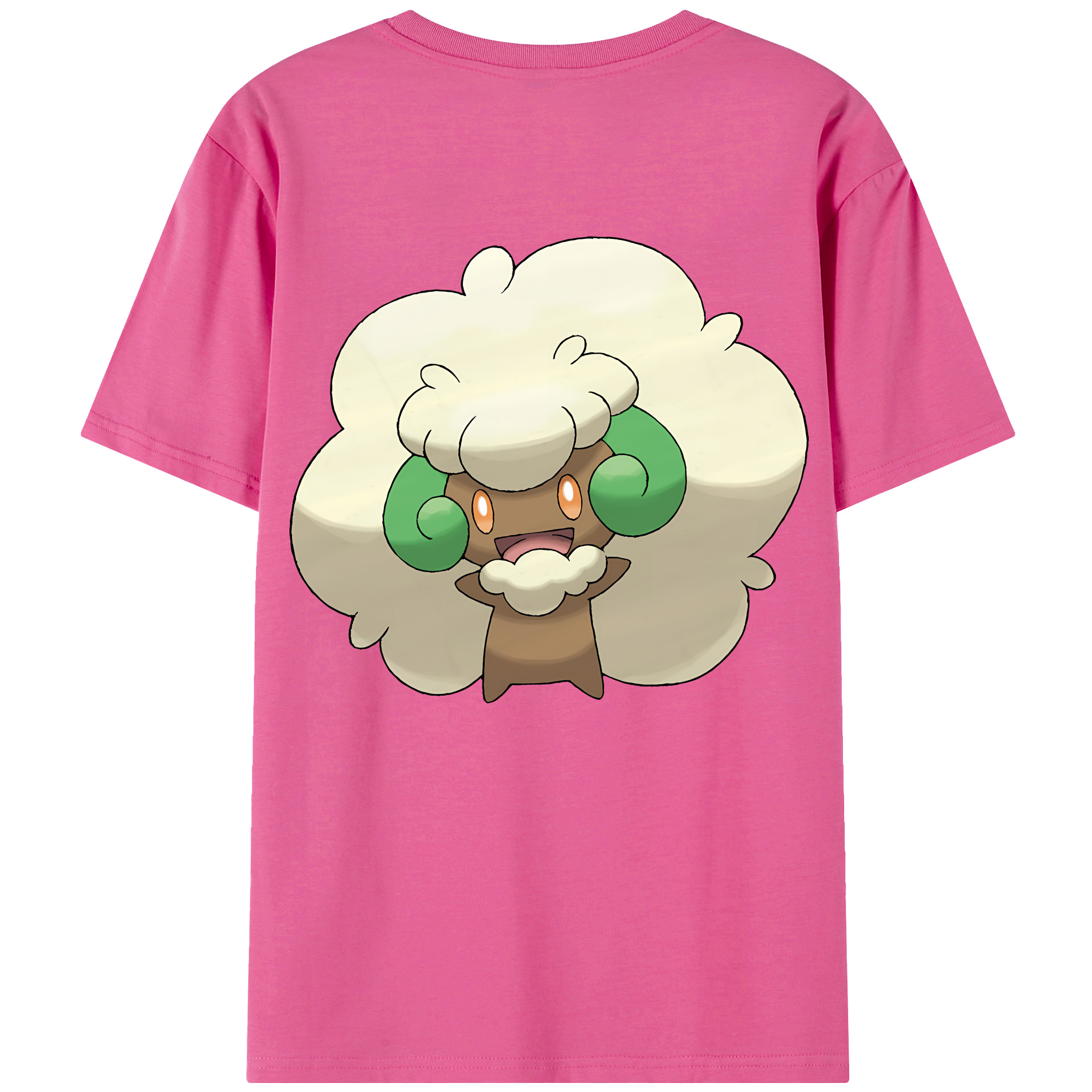 （画像用） ポケットモンスター Pokémon レディース半袖Tシャツ(バックプリント)
