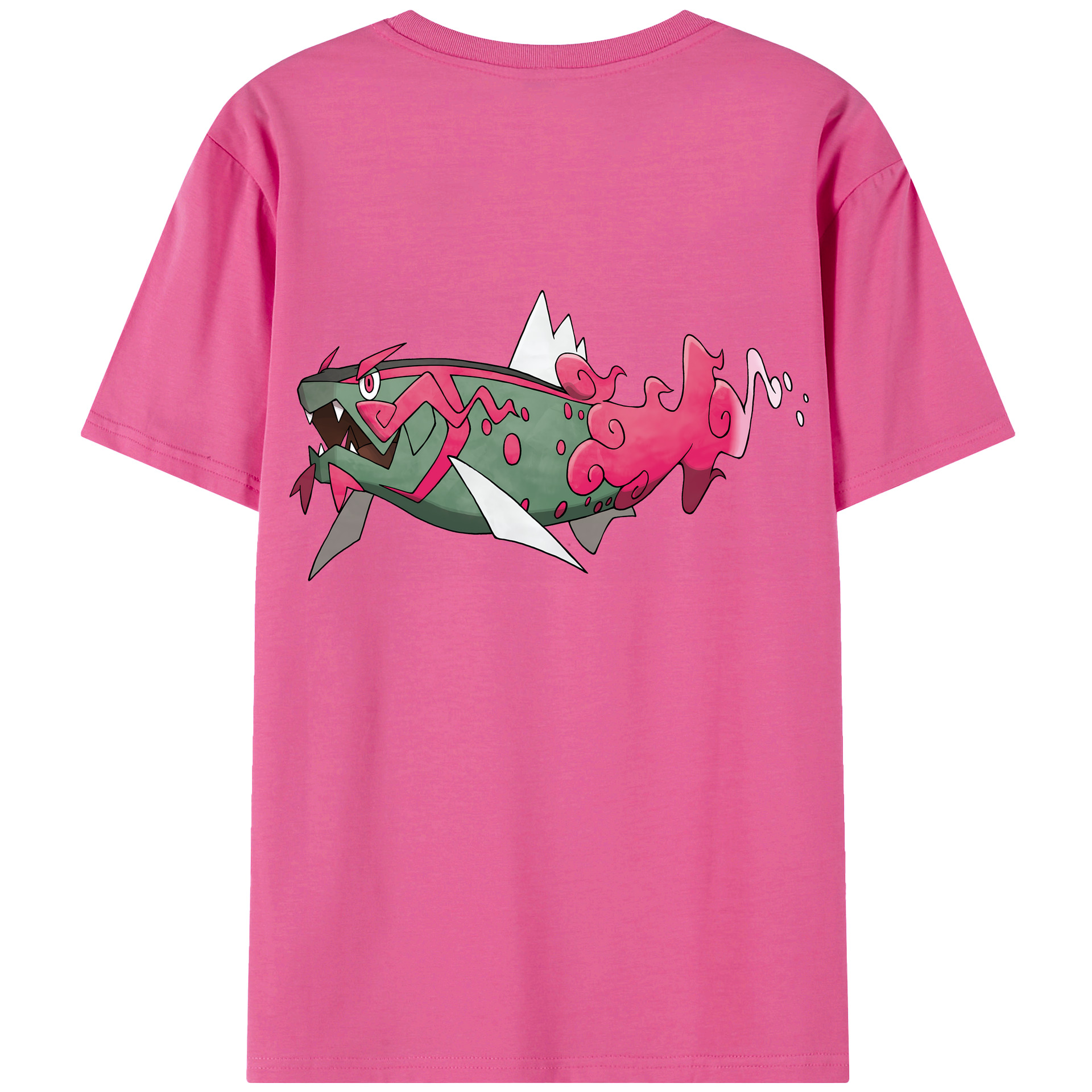（画像用） ポケットモンスター Pokémon レディース半袖Tシャツ(バックプリント)