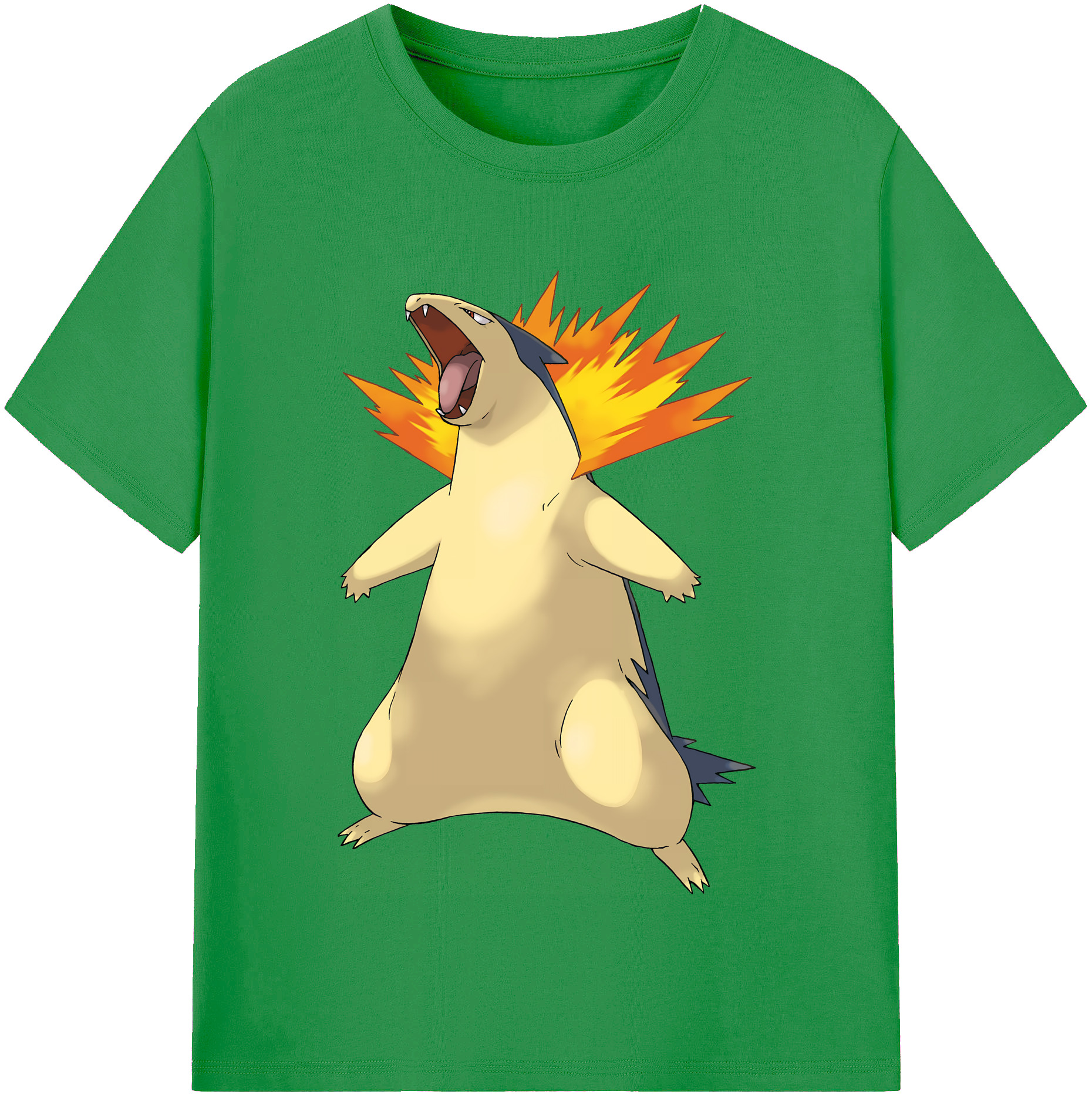 （画像用） ポケットモンスター Pokémon レディースカジュアルプリントTシャツ（綿100％）