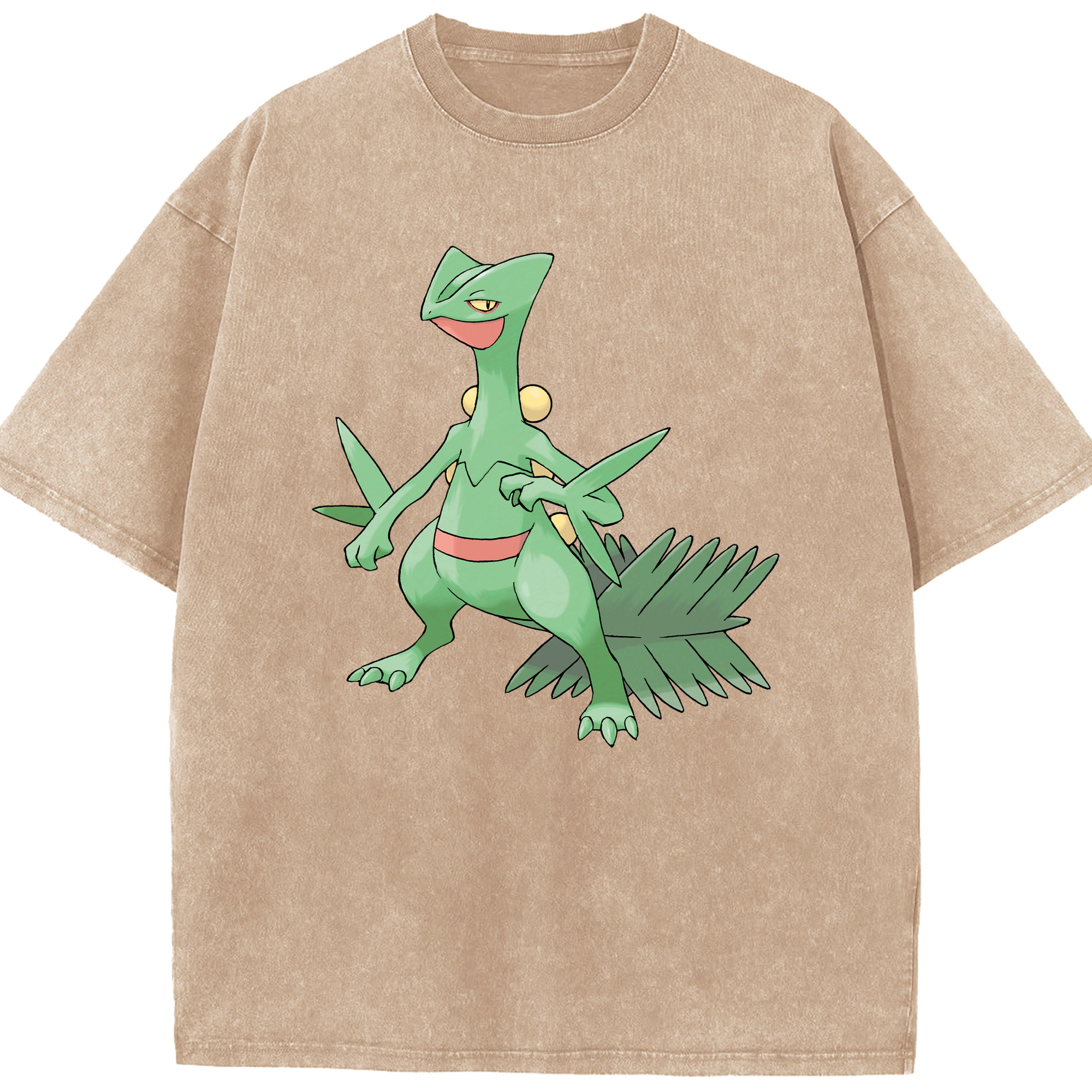 （画像用） ポケットモンスター Pokémon 綿100% ヴィンテージ風 半袖Tシャツ（フロントプリント）