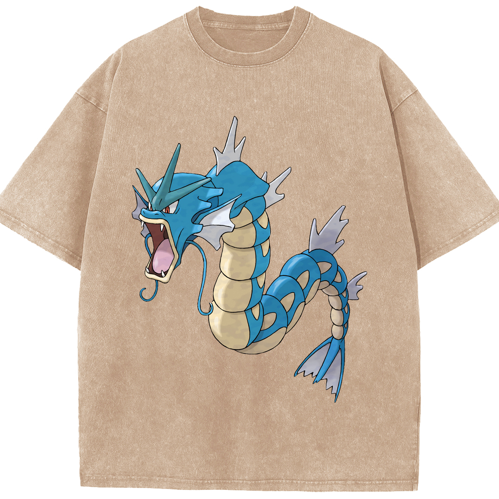 （画像用） ポケットモンスター Pokémon 綿100% ヴィンテージ風 半袖Tシャツ（フロントプリント）
