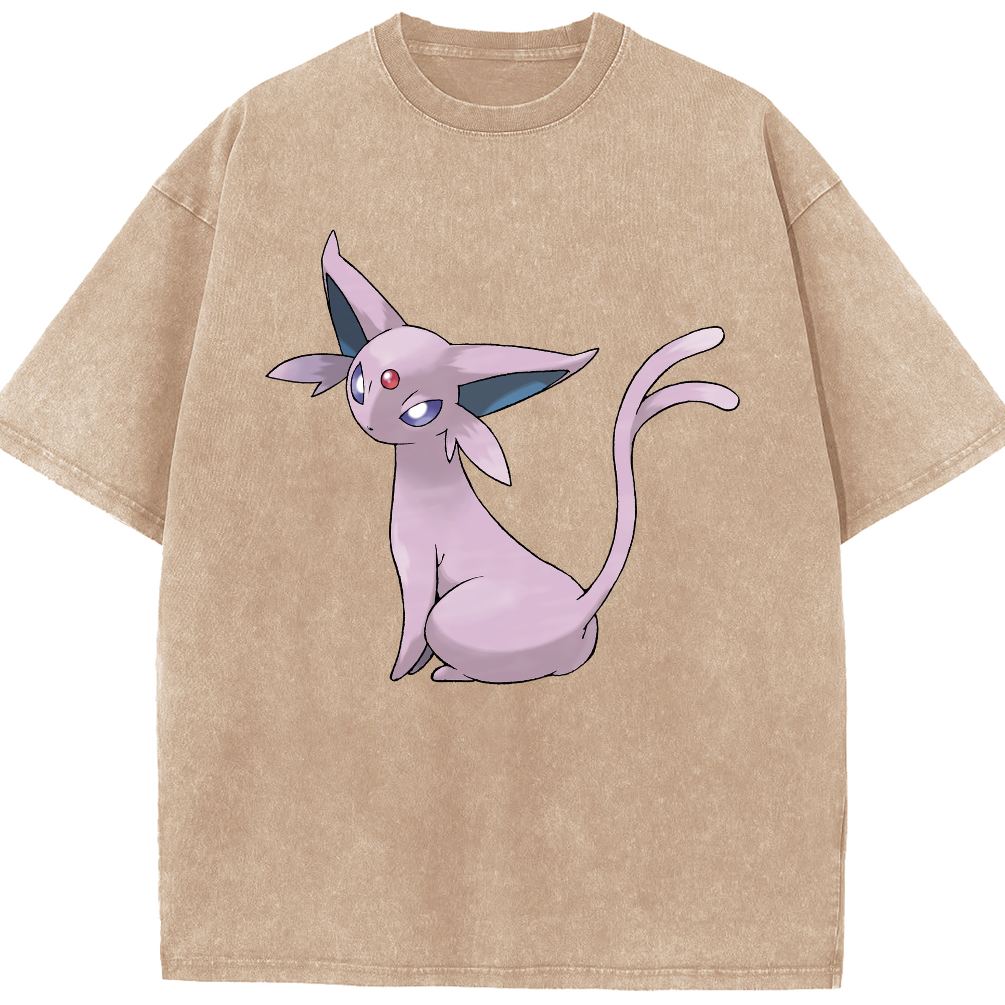 （画像用） ポケットモンスター Pokémon 綿100% ヴィンテージ風 半袖Tシャツ（フロントプリント）