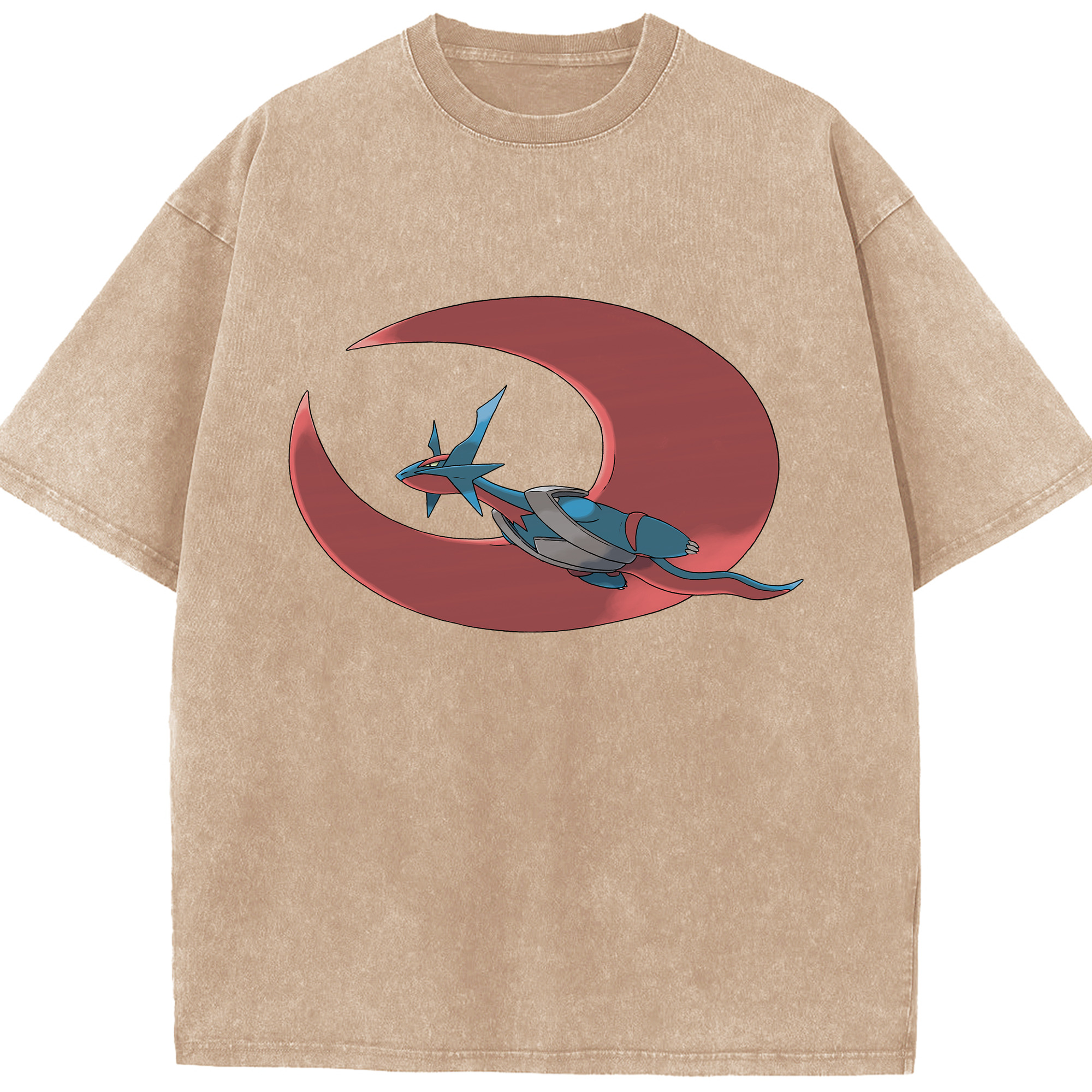（画像用） ポケットモンスター Pokémon 綿100% ヴィンテージ風 半袖Tシャツ（フロントプリント）