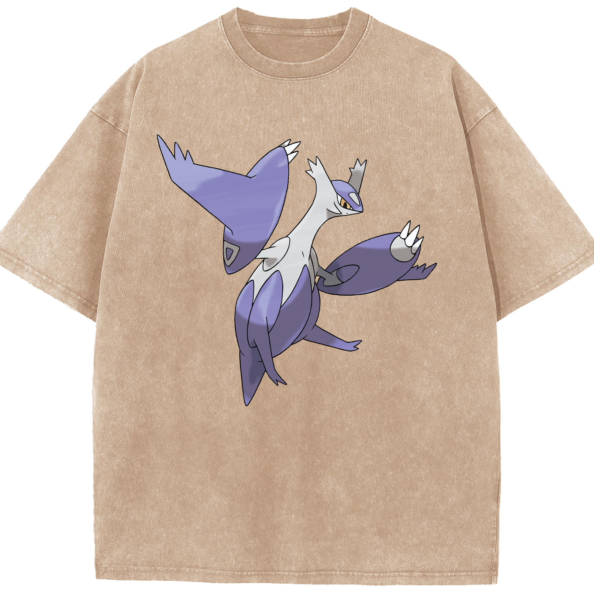 （画像用） ポケットモンスター Pokémon 綿100% ヴィンテージ風 半袖Tシャツ（フロントプリント）