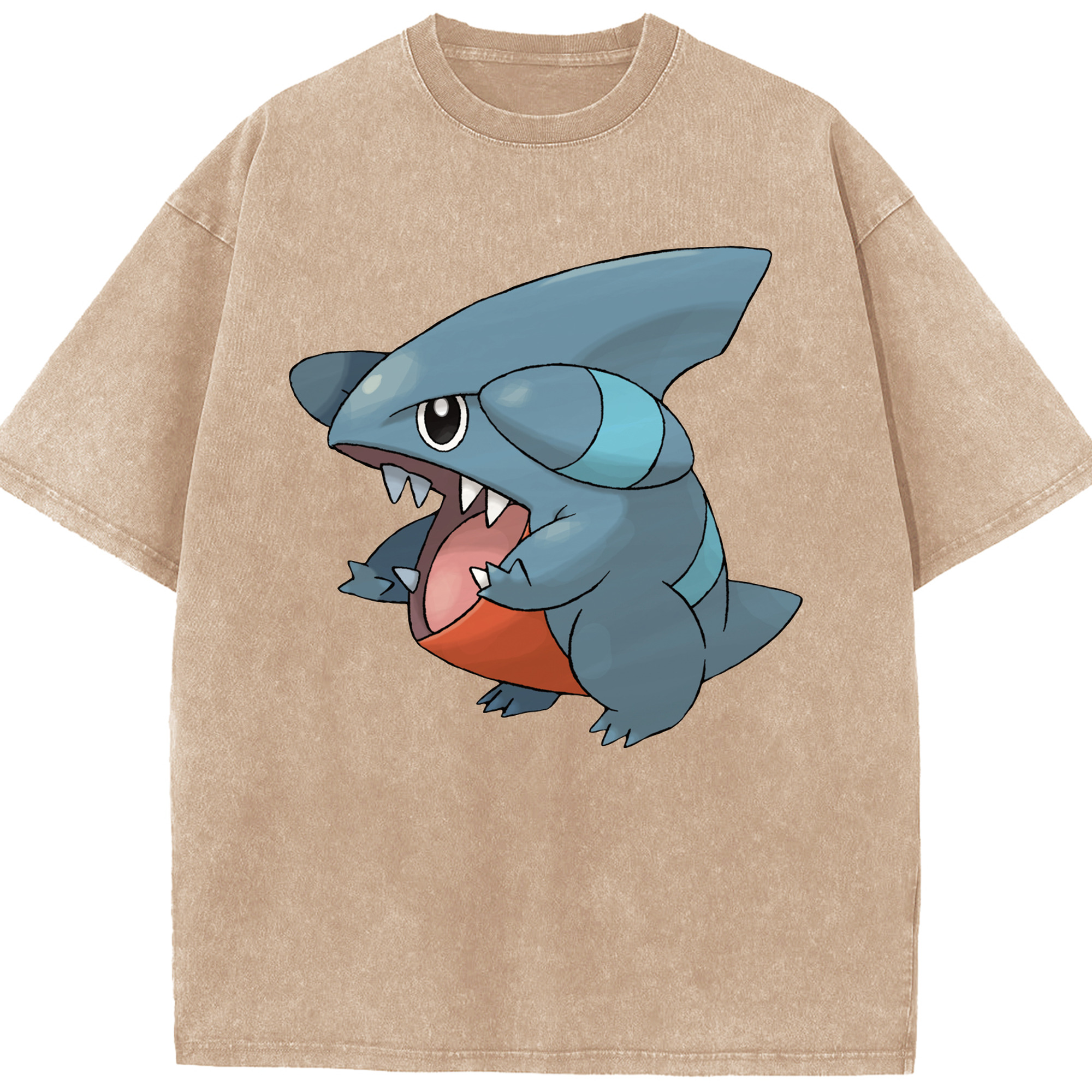 （画像用） ポケットモンスター Pokémon 綿100% ヴィンテージ風 半袖Tシャツ（フロントプリント）