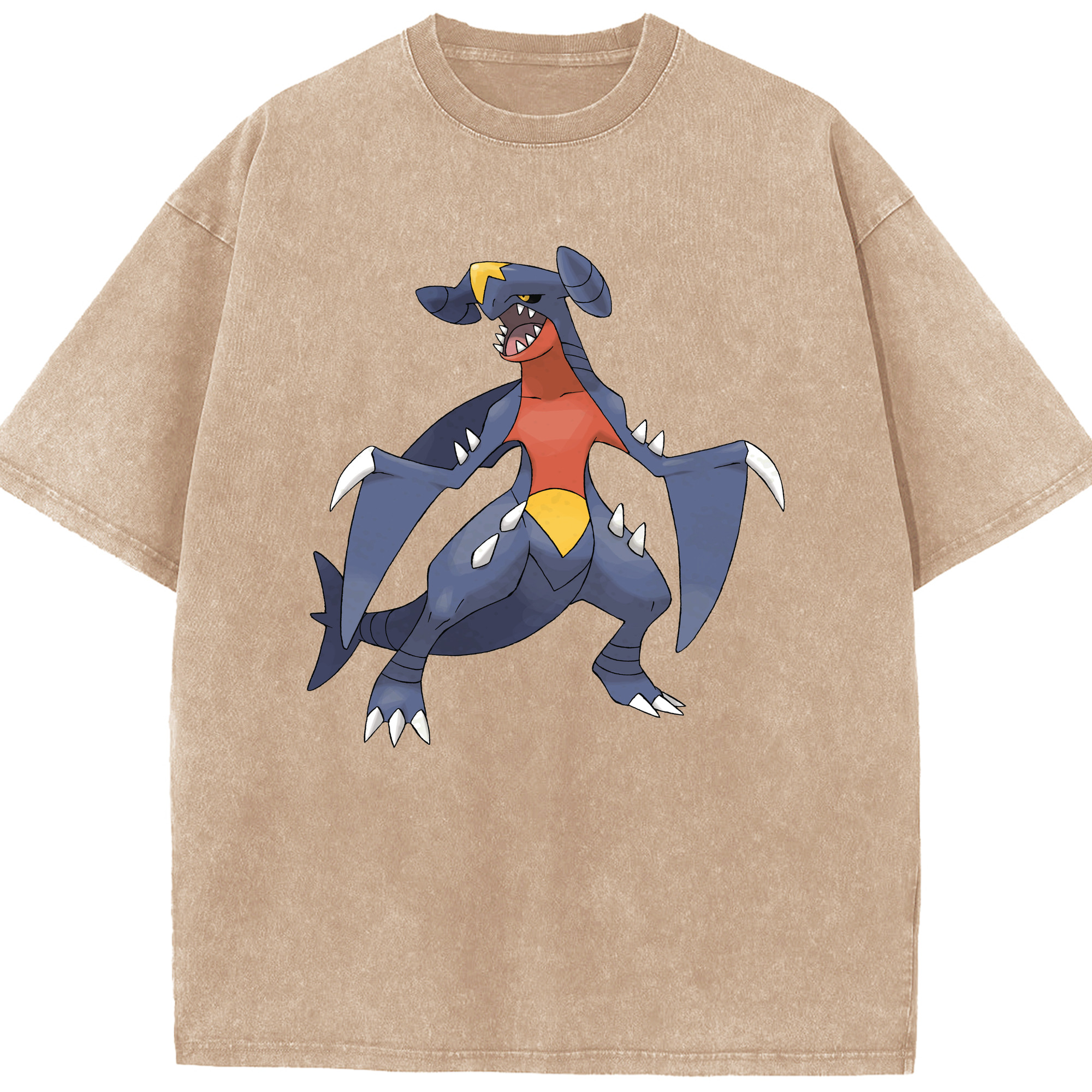 （画像用） ポケットモンスター Pokémon 綿100% ヴィンテージ風 半袖Tシャツ（フロントプリント）