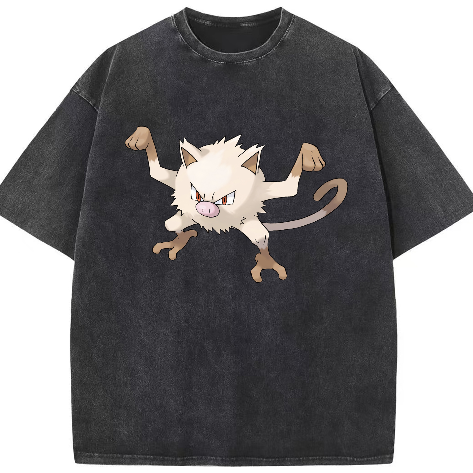 （画像用） ポケットモンスター Pokémon 綿100% ヴィンテージ風 半袖Tシャツ（フロントプリント）