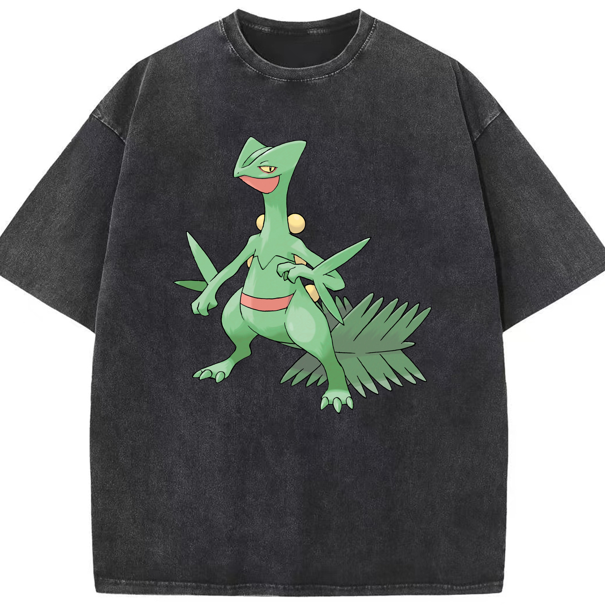 （画像用） ポケットモンスター Pokémon 綿100% ヴィンテージ風 半袖Tシャツ（フロントプリント）