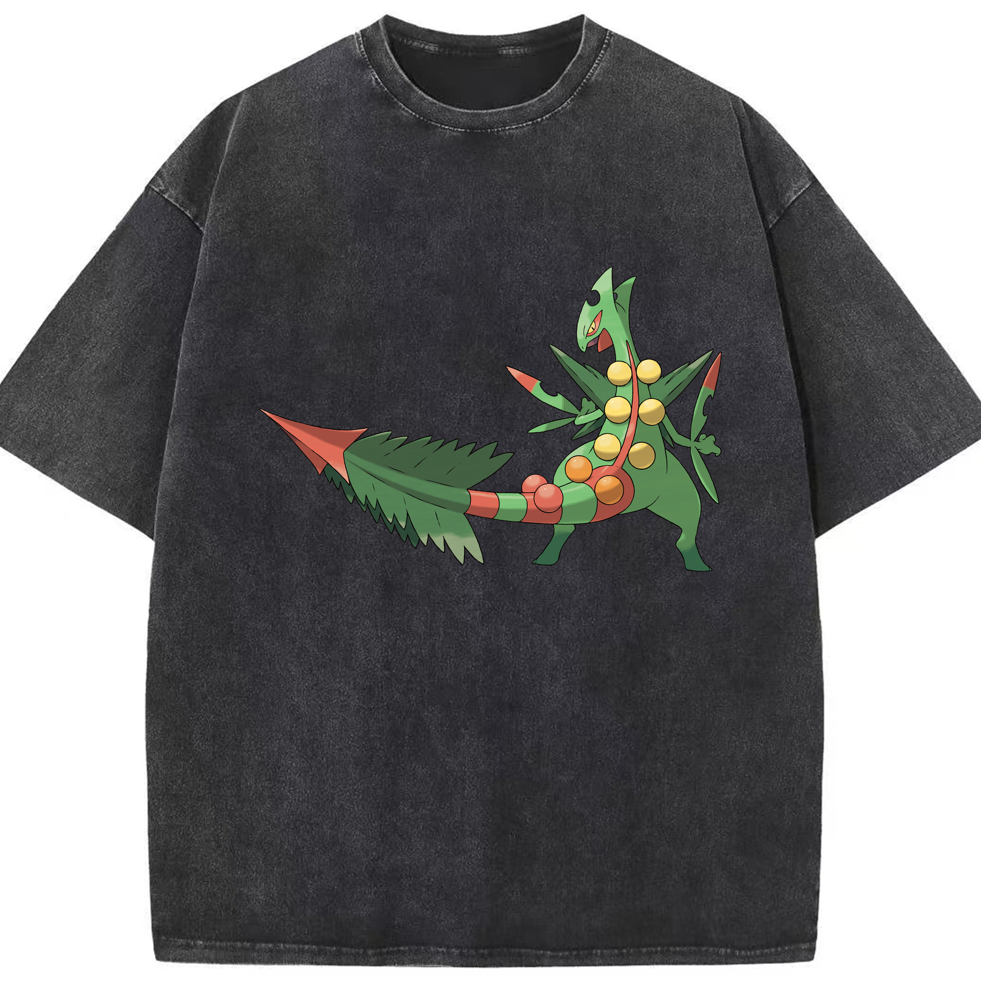 （画像用） ポケットモンスター Pokémon 綿100% ヴィンテージ風 半袖Tシャツ（フロントプリント）
