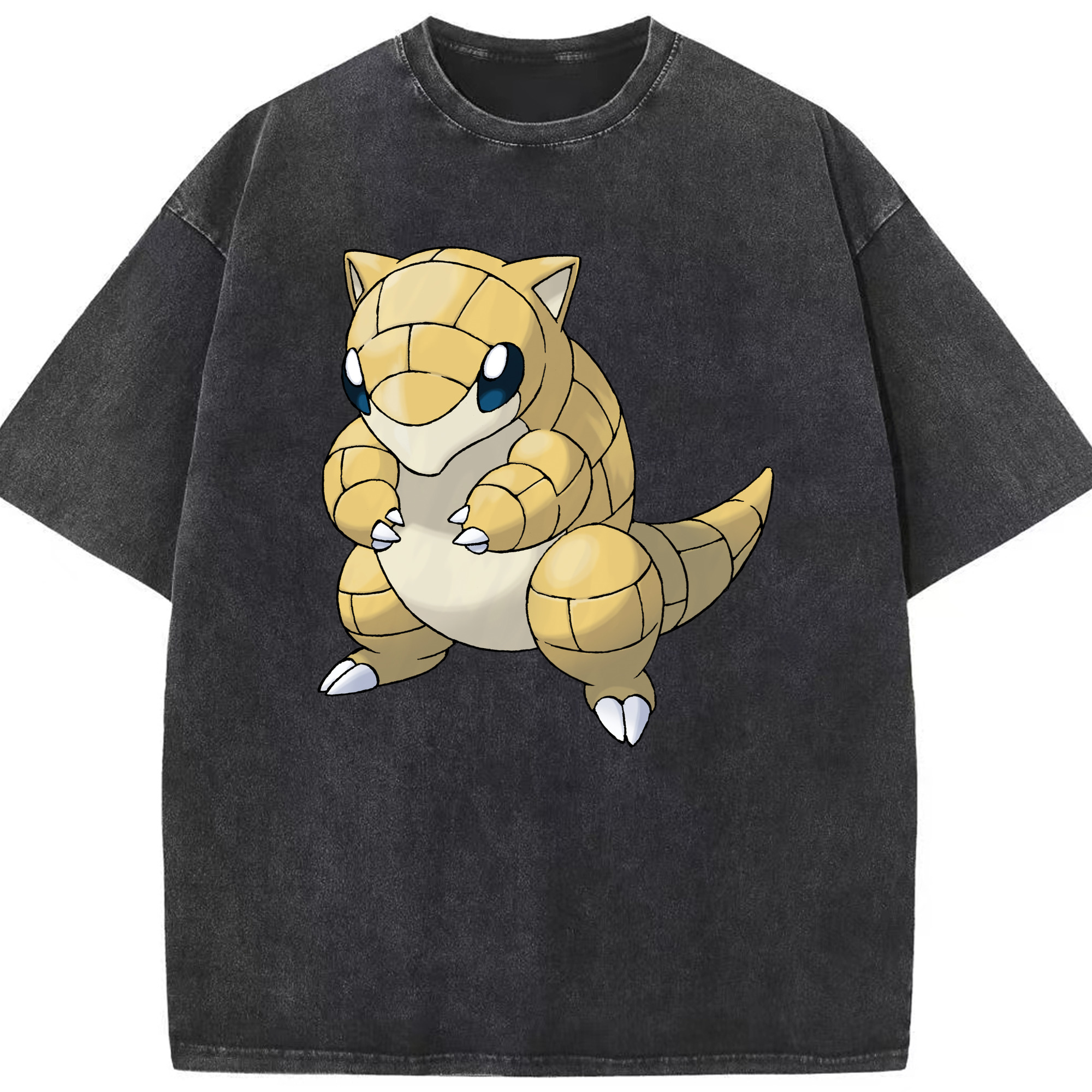 （画像用） ポケットモンスター Pokémon 綿100% ヴィンテージ風 半袖Tシャツ（フロントプリント）