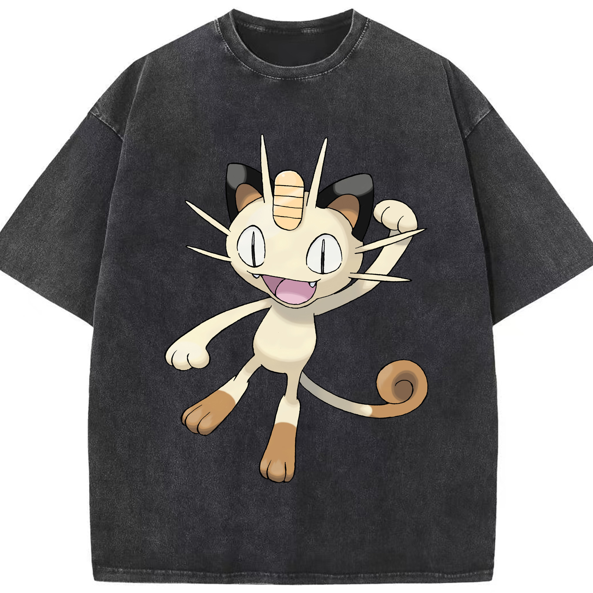 （画像用） ポケットモンスター Pokémon 綿100% ヴィンテージ風 半袖Tシャツ（フロントプリント）
