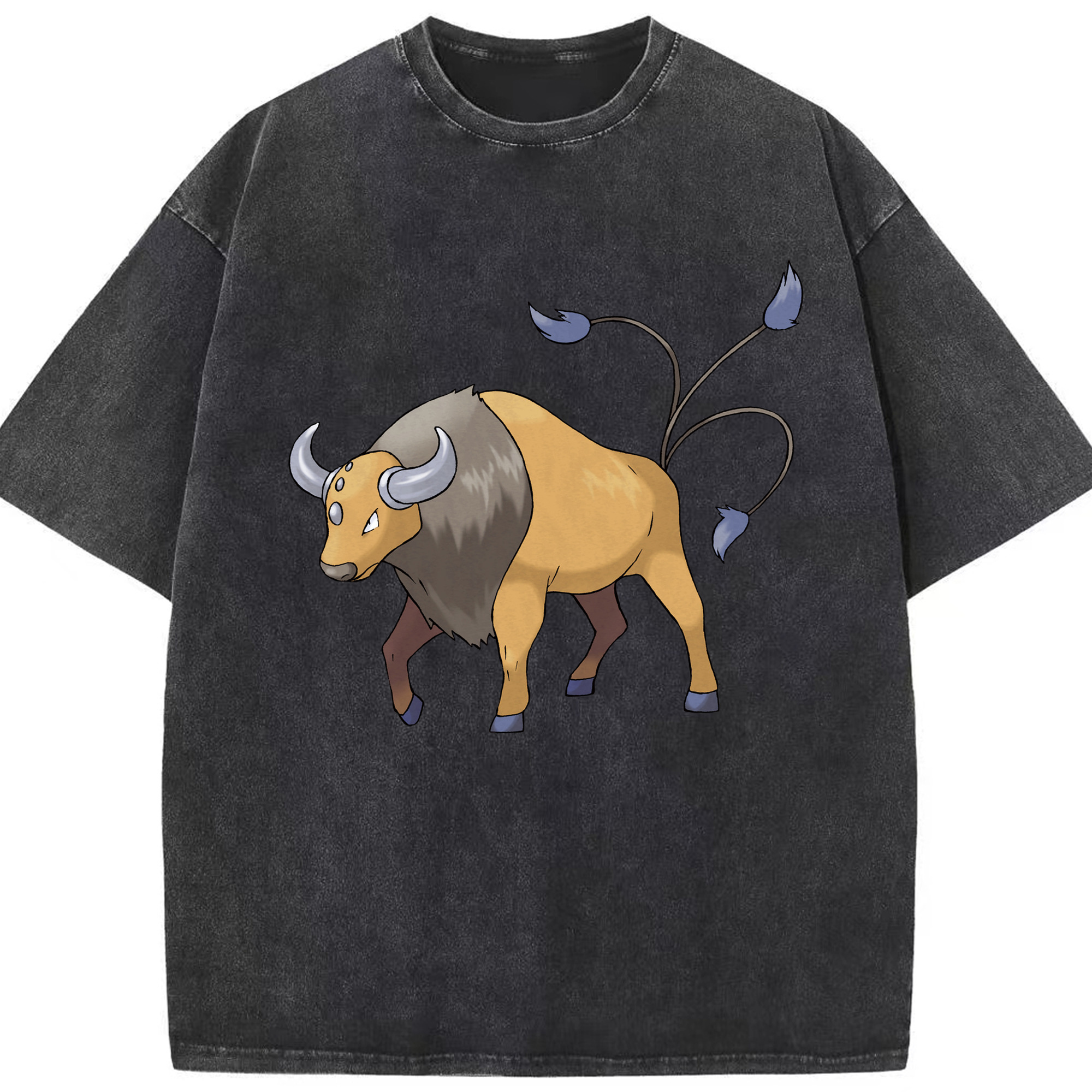（画像用） ポケットモンスター Pokémon 綿100% ヴィンテージ風 半袖Tシャツ（フロントプリント）