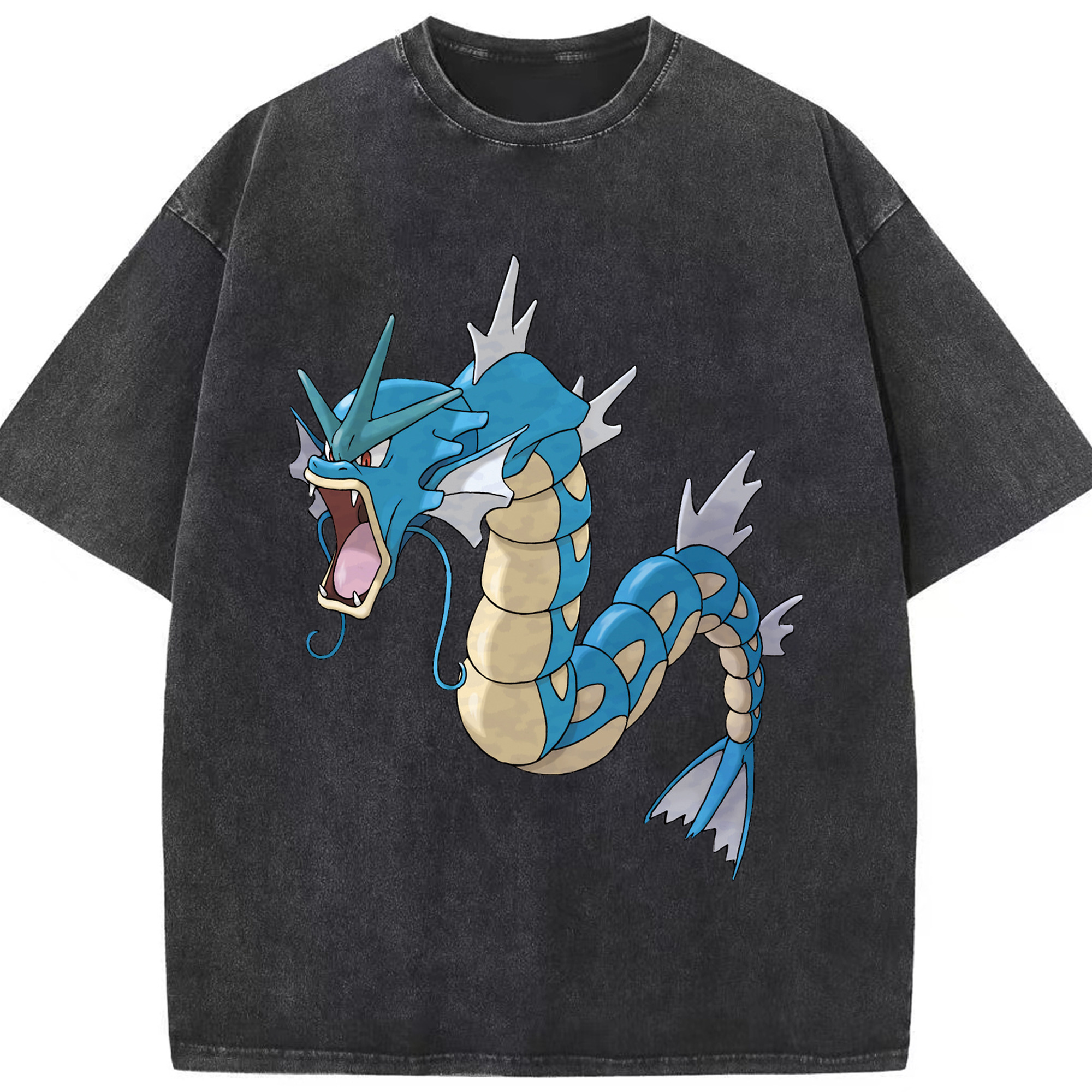 （画像用） ポケットモンスター Pokémon 綿100% ヴィンテージ風 半袖Tシャツ（フロントプリント）