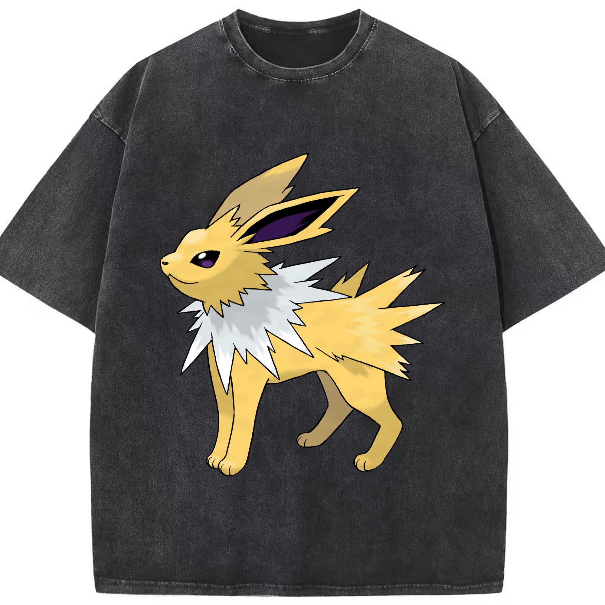 （画像用） ポケットモンスター Pokémon 綿100% ヴィンテージ風 半袖Tシャツ（フロントプリント）