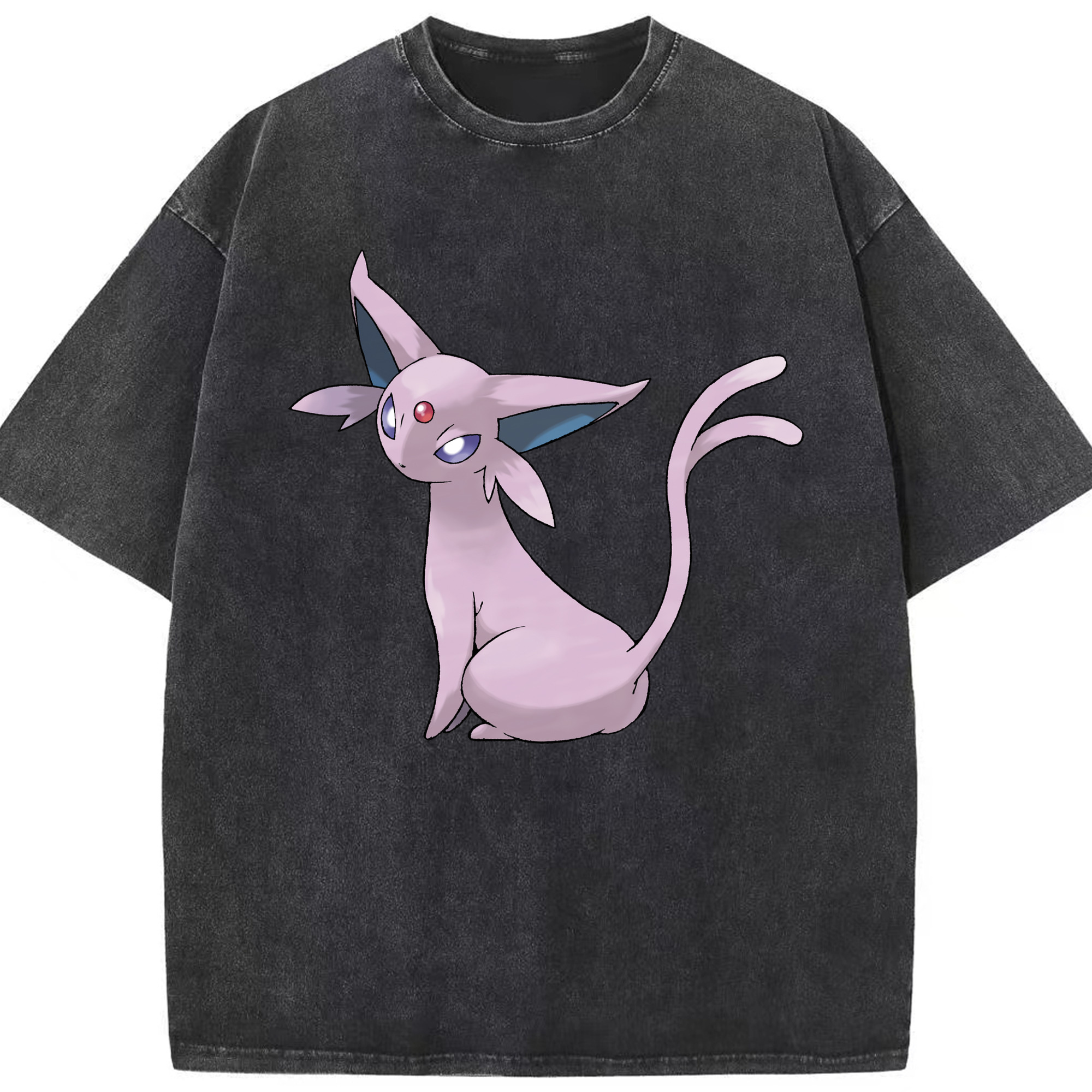 （画像用） ポケットモンスター Pokémon 綿100% ヴィンテージ風 半袖Tシャツ（フロントプリント）