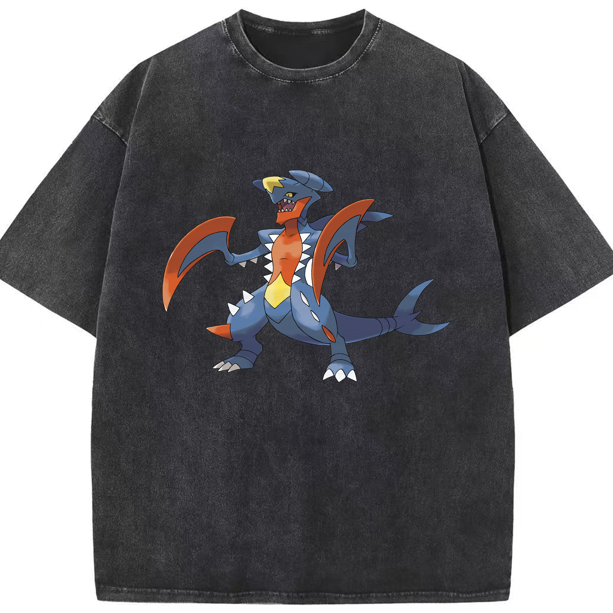 （画像用） ポケットモンスター Pokémon 綿100% ヴィンテージ風 半袖Tシャツ（フロントプリント）
