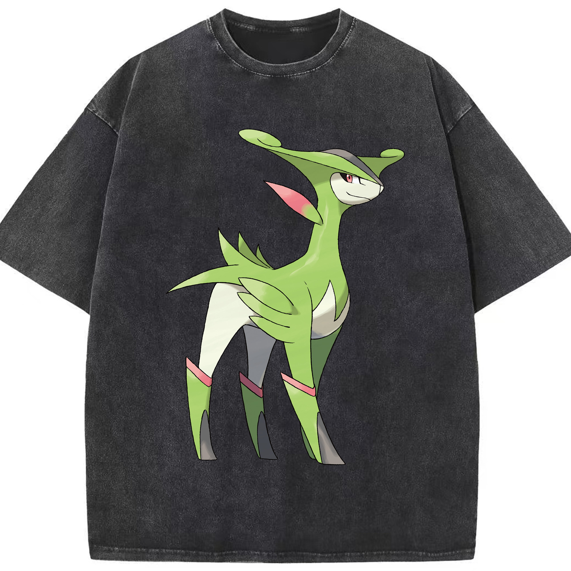 （画像用） ポケットモンスター Pokémon 綿100% ヴィンテージ風 半袖Tシャツ（フロントプリント）