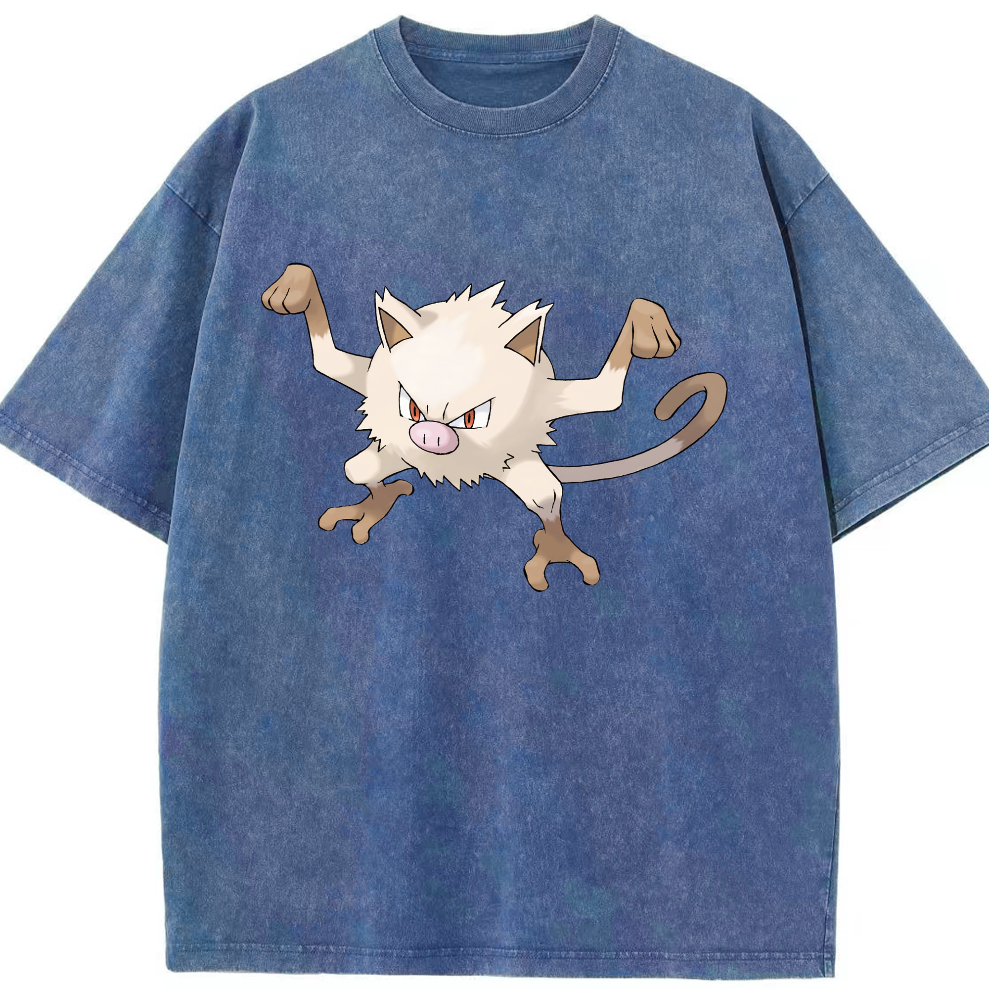 （画像用） ポケットモンスター Pokémon 綿100% ヴィンテージ風 半袖Tシャツ（フロントプリント）