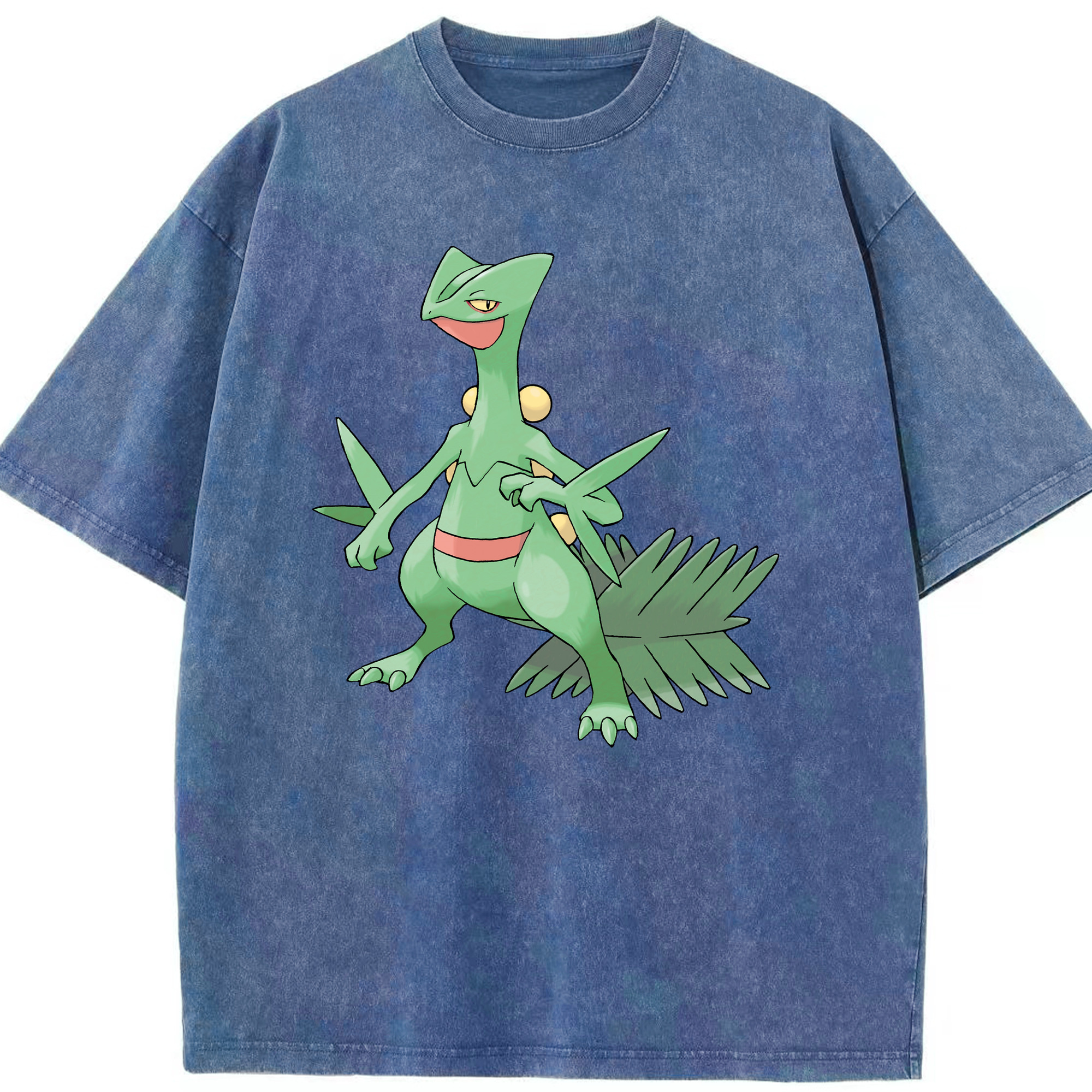 （画像用） ポケットモンスター Pokémon 綿100% ヴィンテージ風 半袖Tシャツ（フロントプリント）