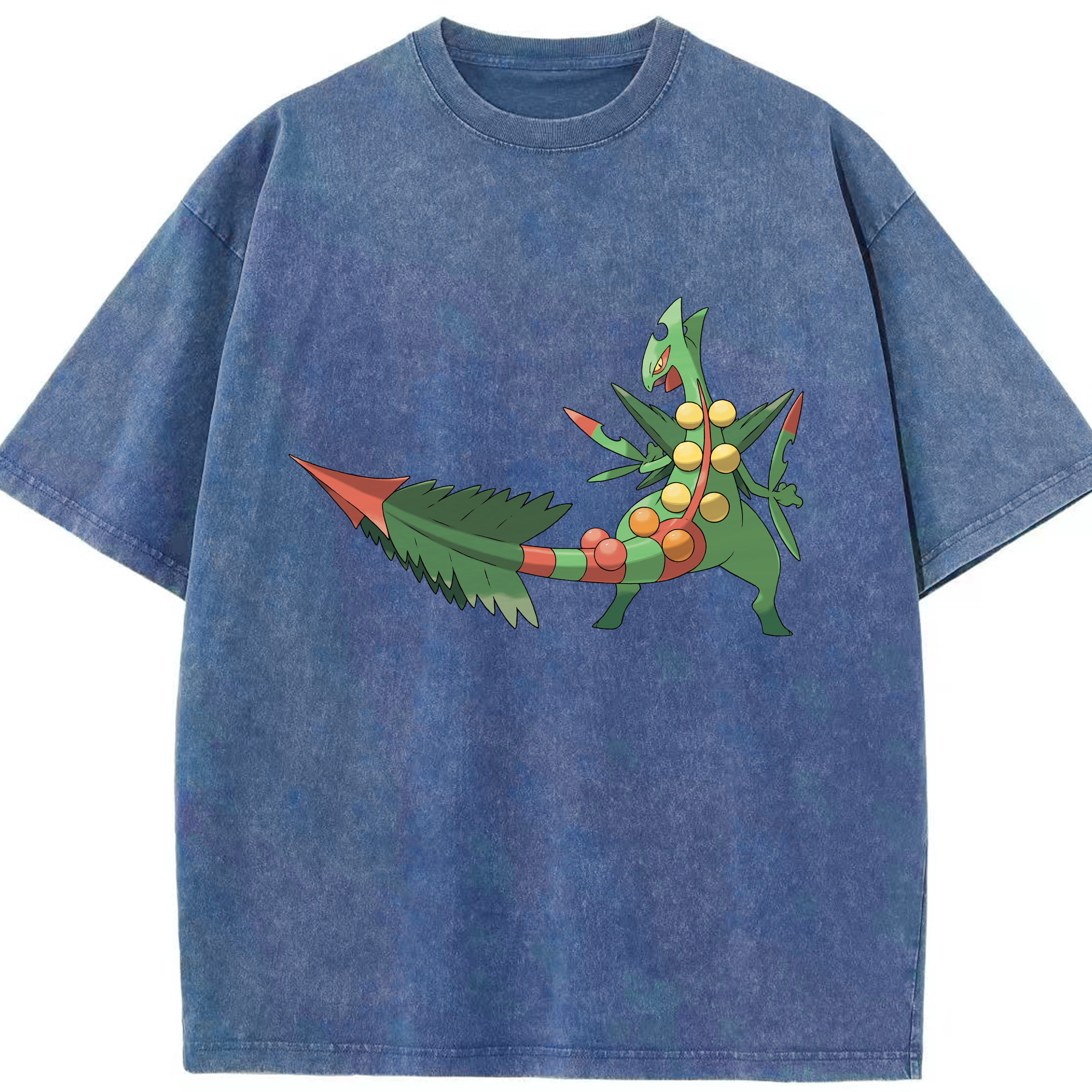 （画像用） ポケットモンスター Pokémon 綿100% ヴィンテージ風 半袖Tシャツ（フロントプリント）