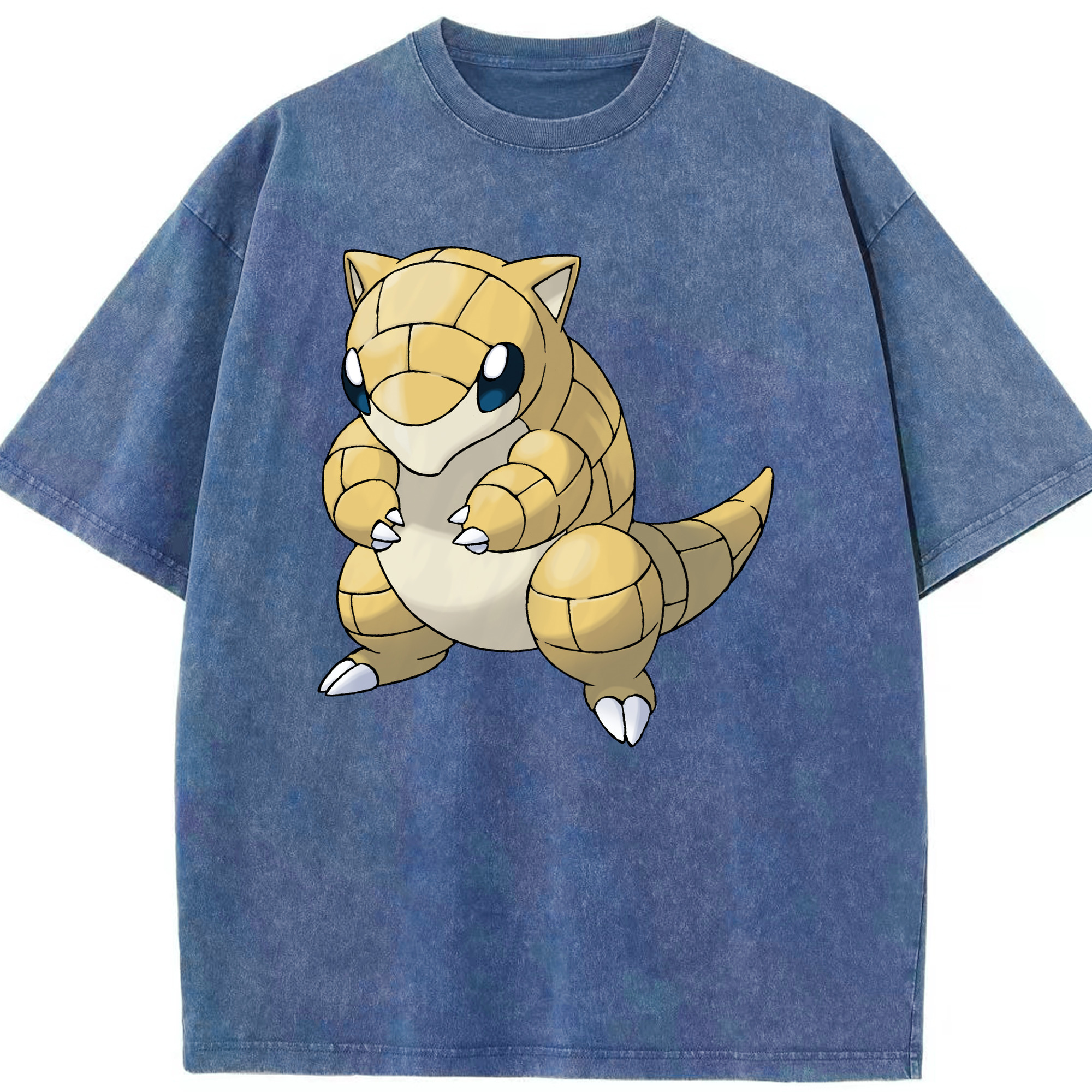 （画像用） ポケットモンスター Pokémon 綿100% ヴィンテージ風 半袖Tシャツ（フロントプリント）