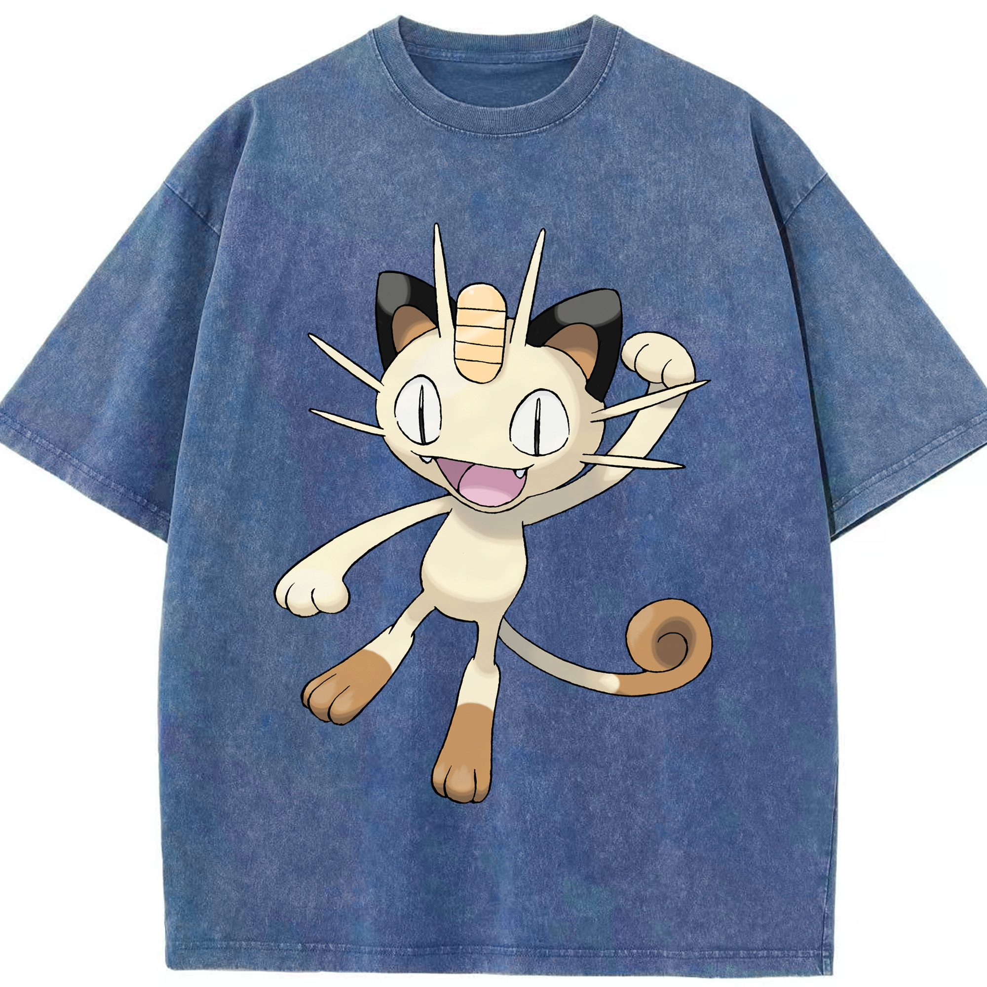 （画像用） ポケットモンスター Pokémon 綿100% ヴィンテージ風 半袖Tシャツ（フロントプリント）