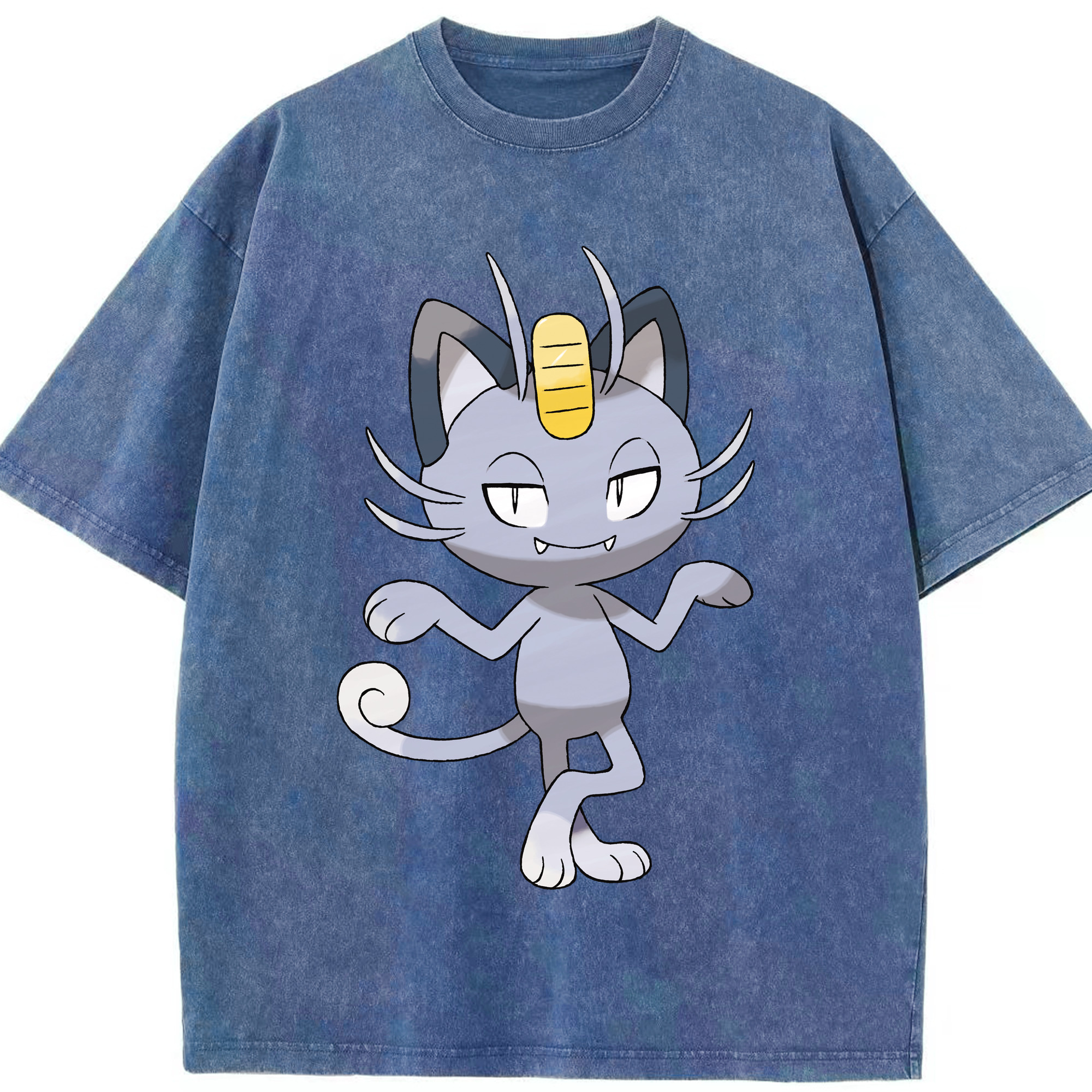（画像用） ポケットモンスター Pokémon 綿100% ヴィンテージ風 半袖Tシャツ（フロントプリント）