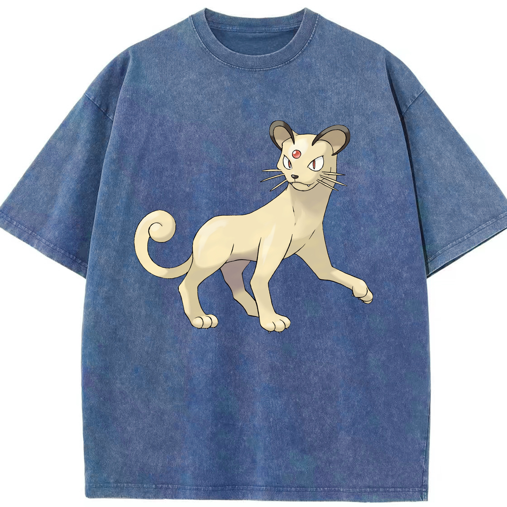 （画像用） ポケットモンスター Pokémon 綿100% ヴィンテージ風 半袖Tシャツ（フロントプリント）